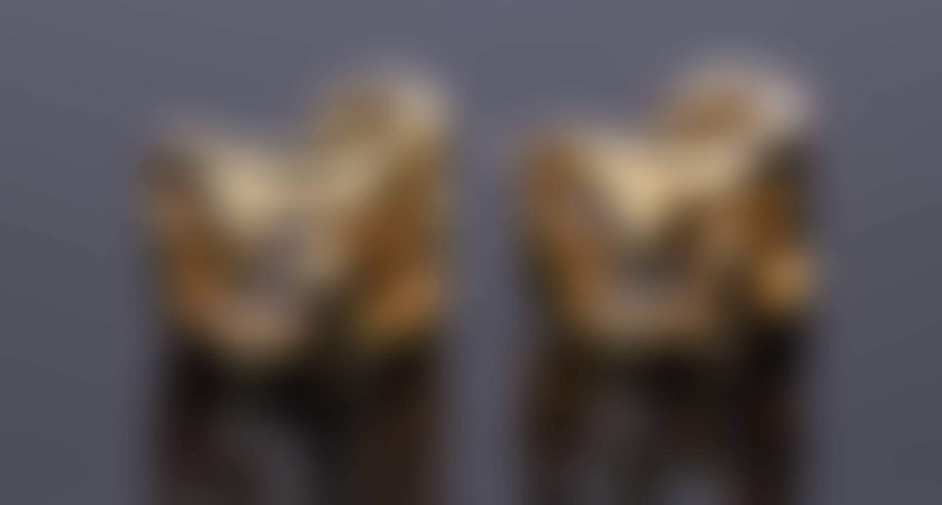 PR ITALIAN GOLD EARRINGS (preview)