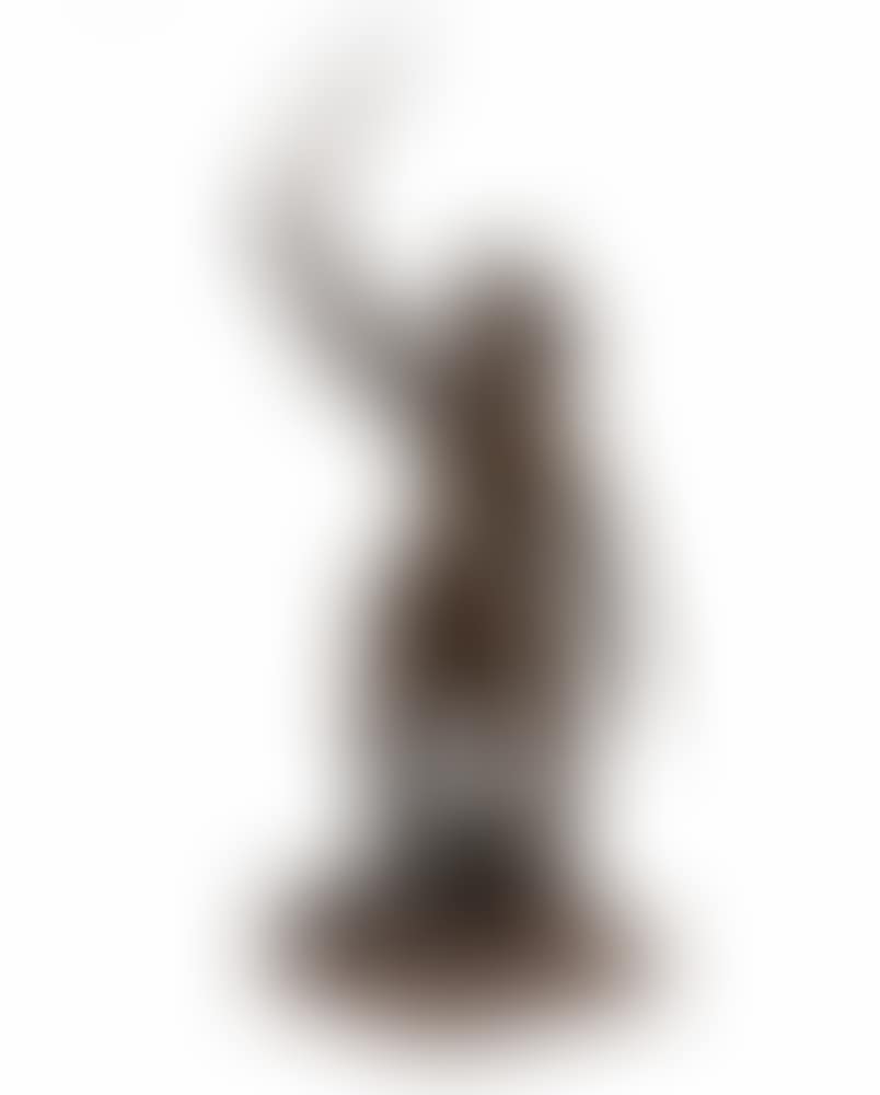 "Jean-Bart" (preview)