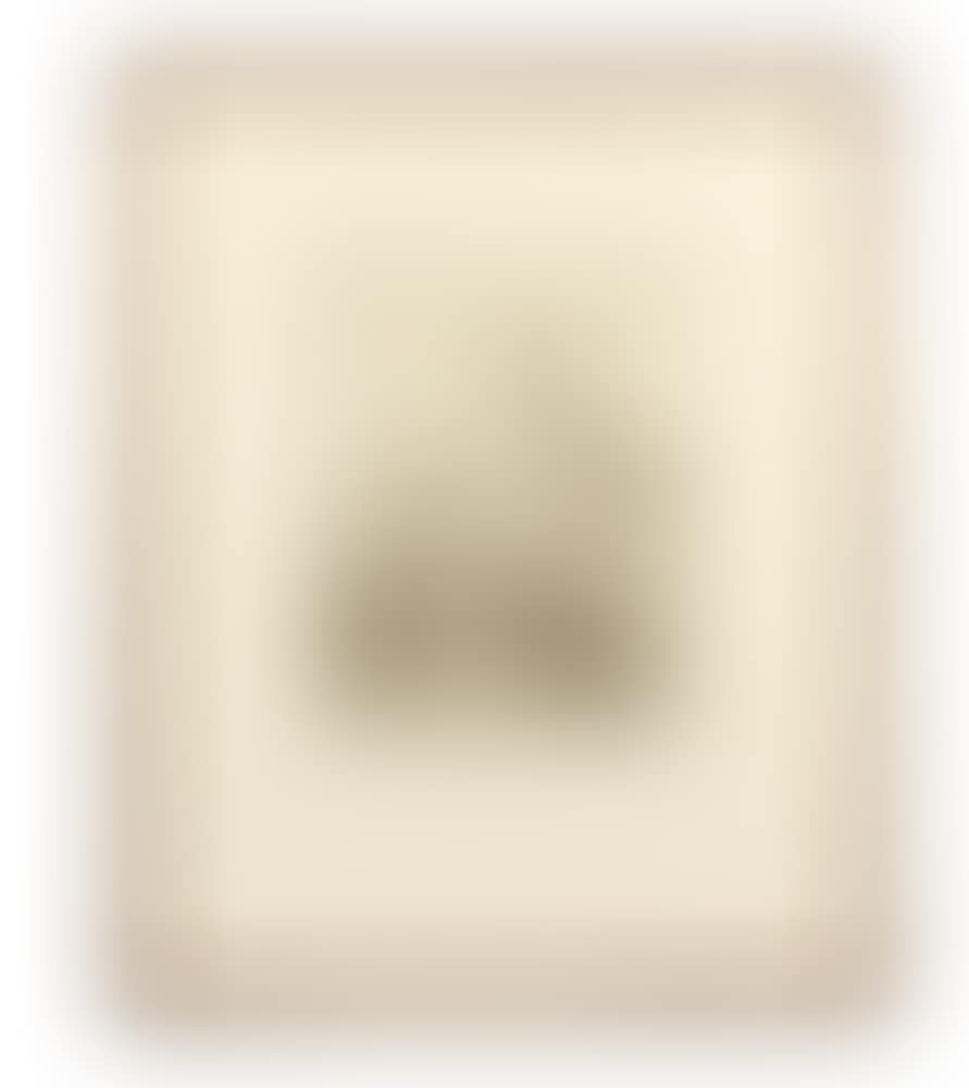 The swan (preview)