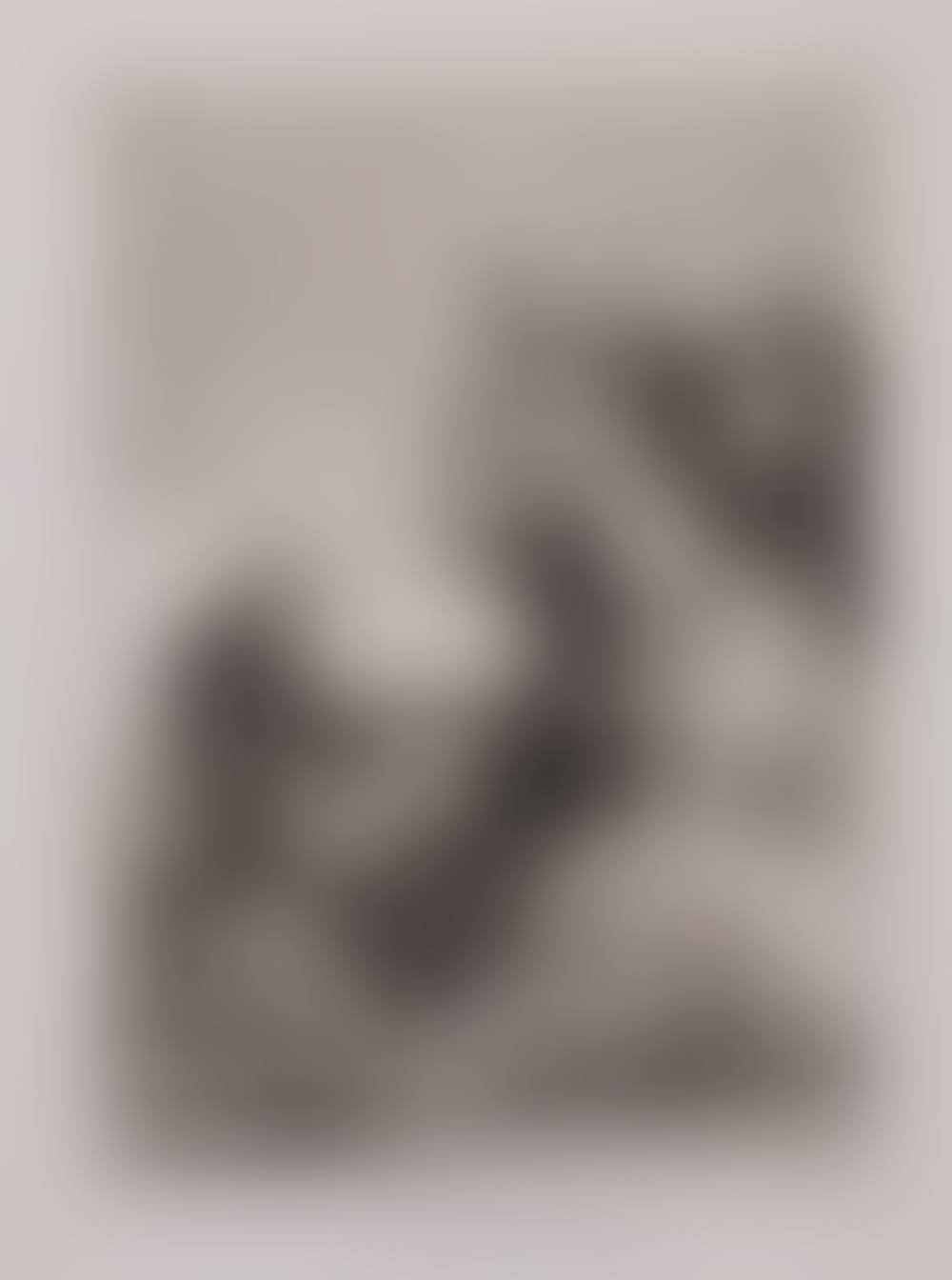 "Bravissimo!" (Most Bully for You!) from "Los Caprichos" (The Caprices) (preview)