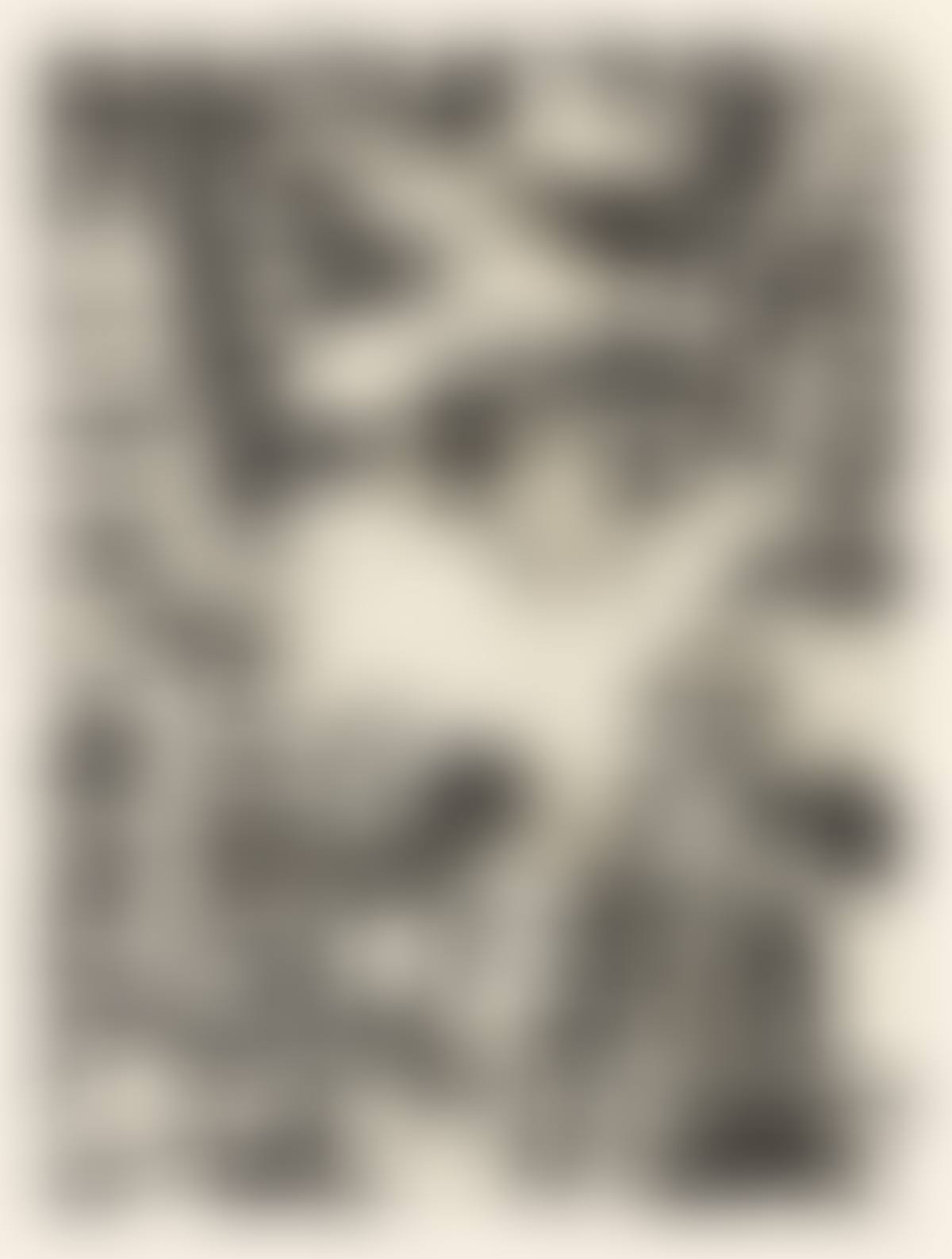 The Barbarian (preview)