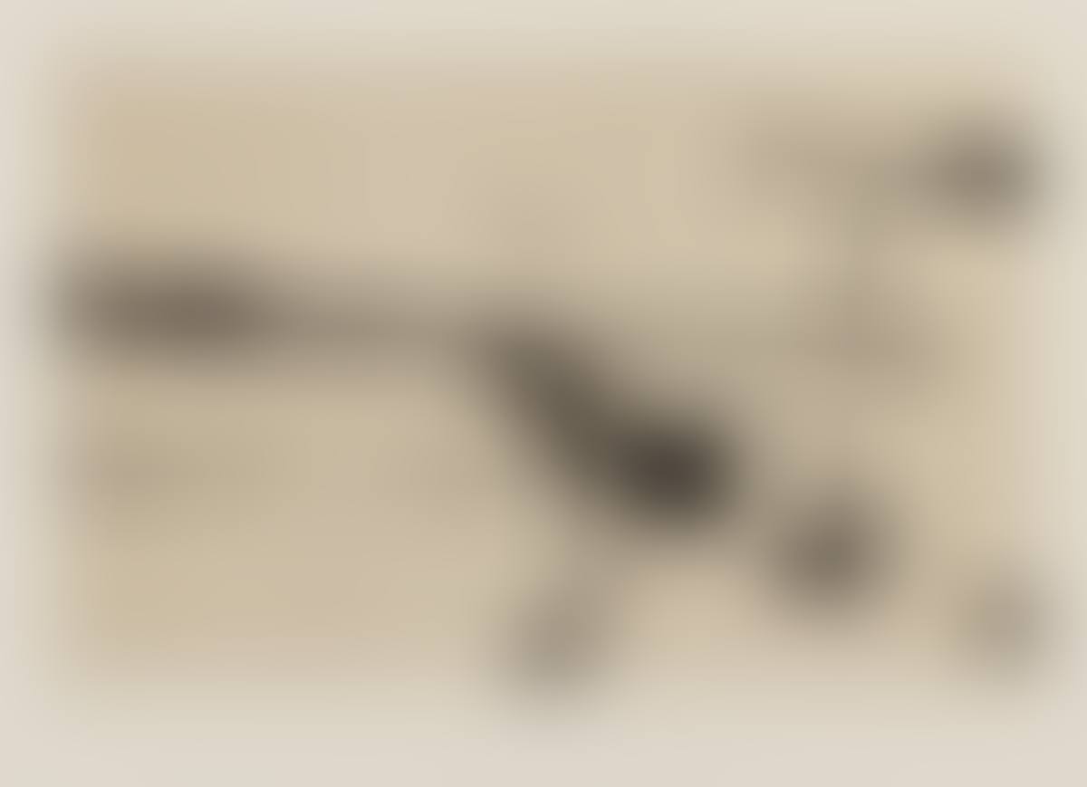 Untitled (preview)