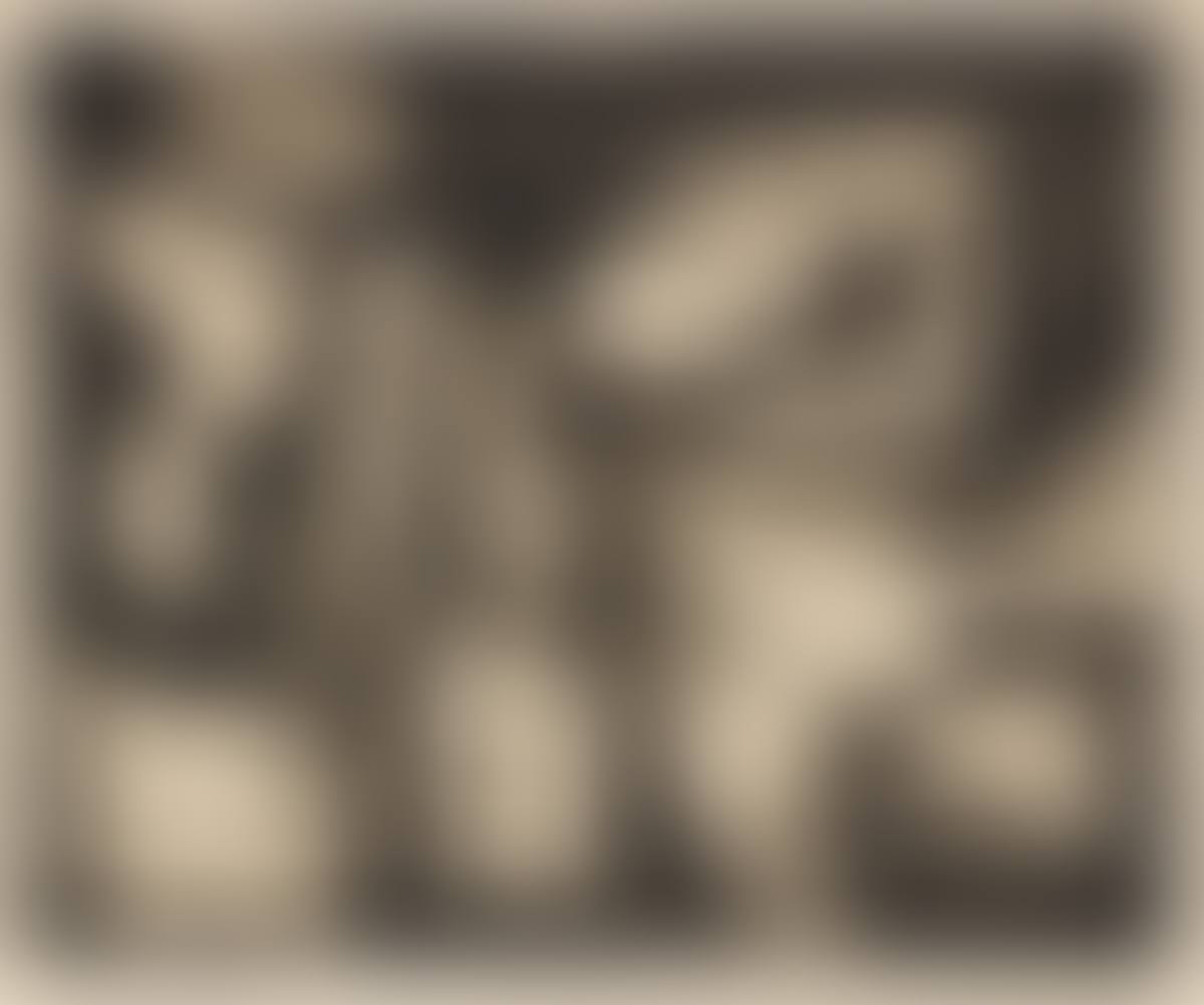 The Ancient Garden (preview)