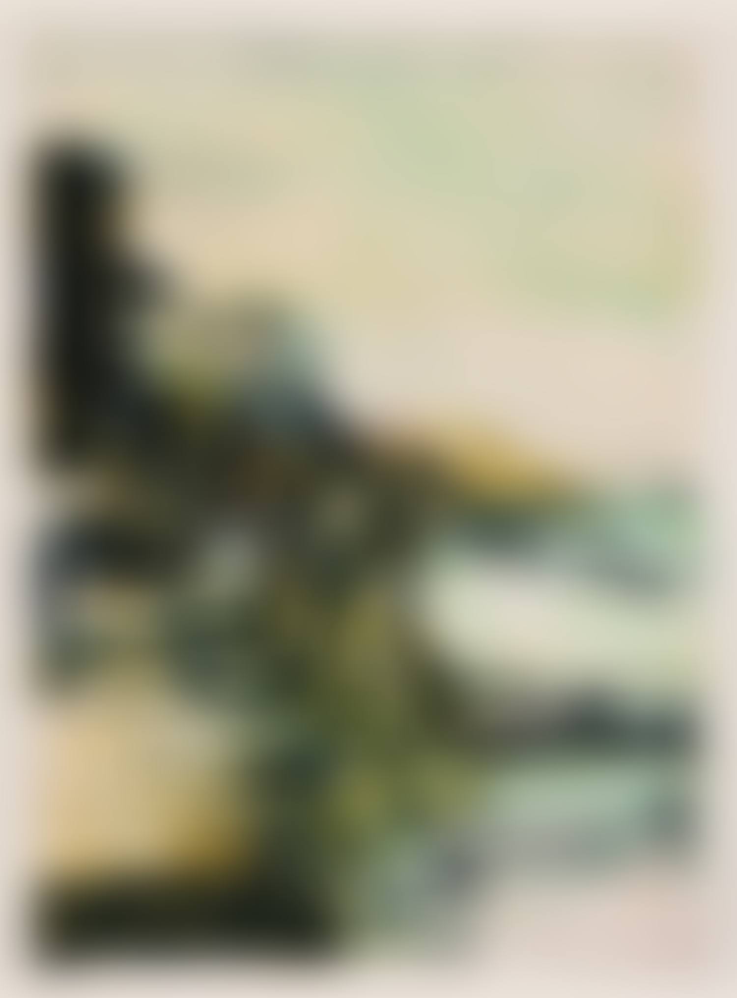 Untitled (Å. 336) (preview)