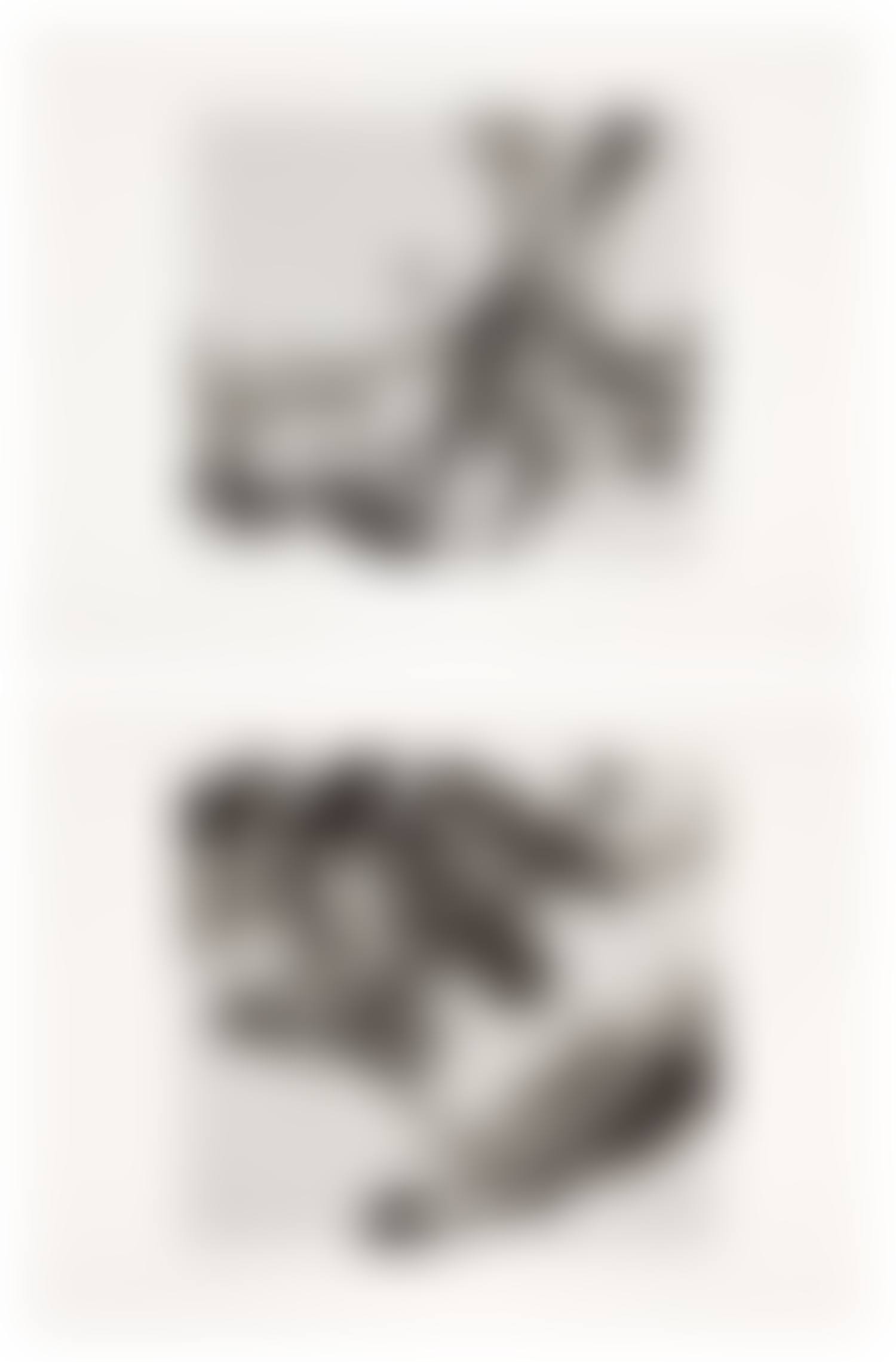 Untitled; and Untitled (preview)