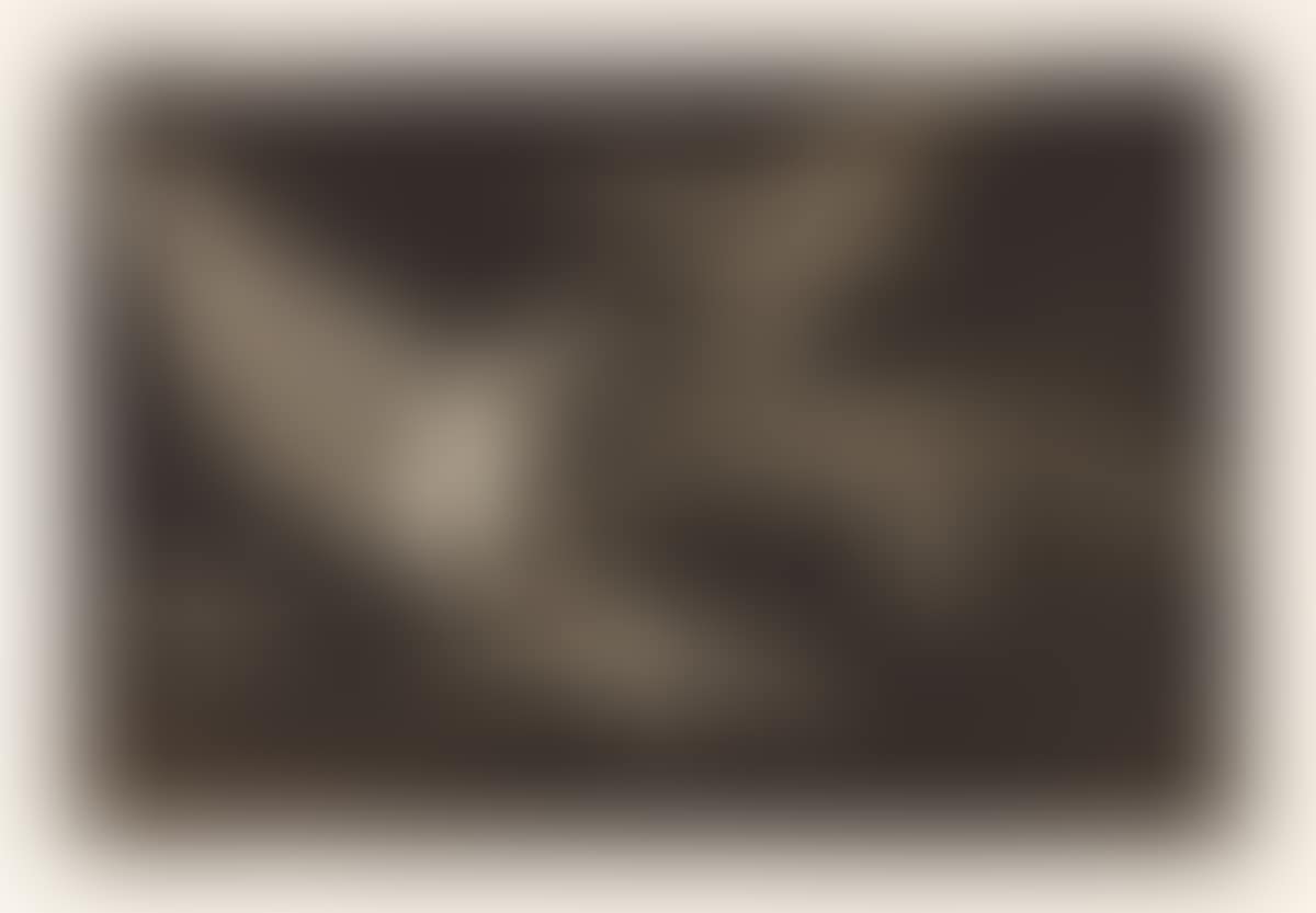 Modo de Volar (preview)