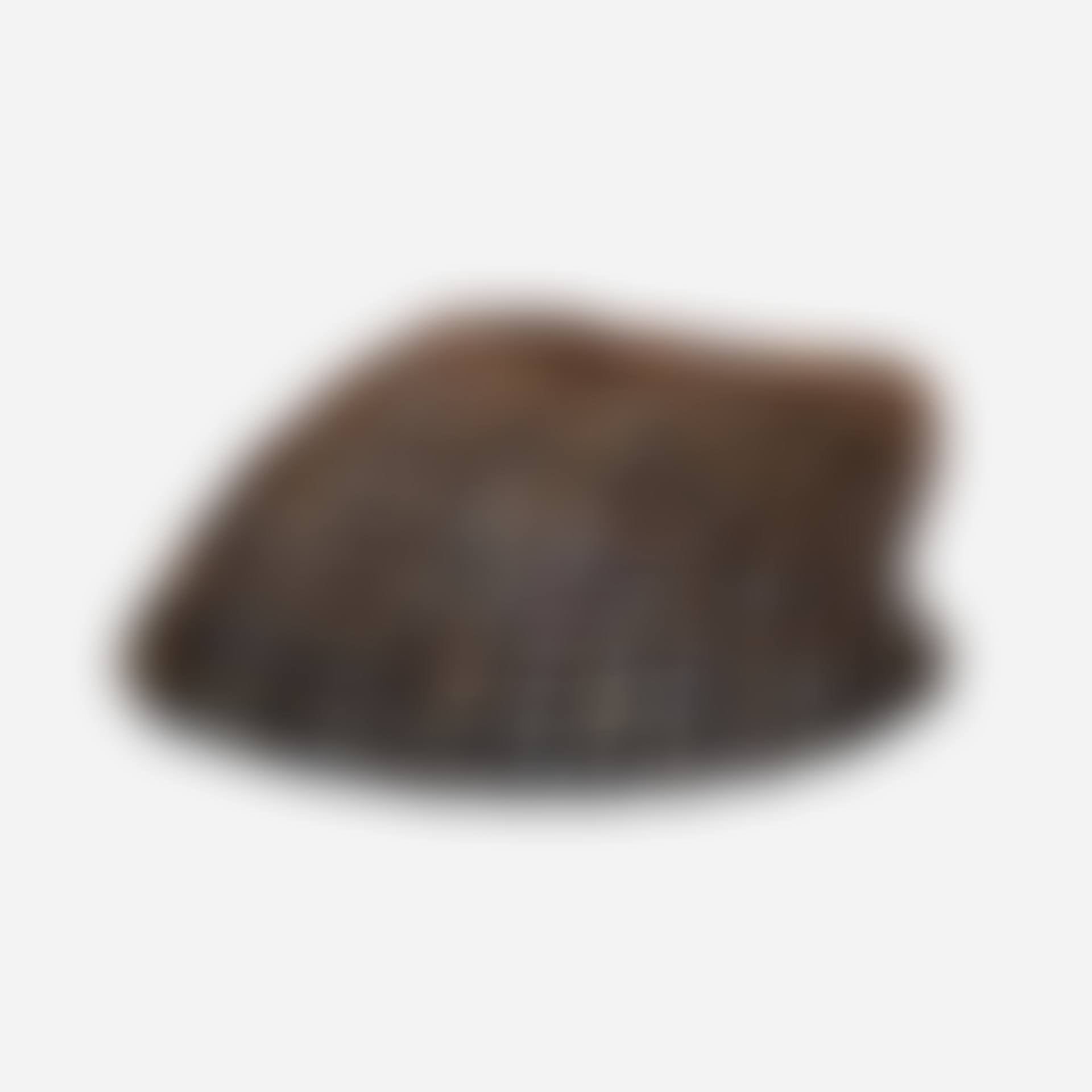 Novelty seashell (preview)
