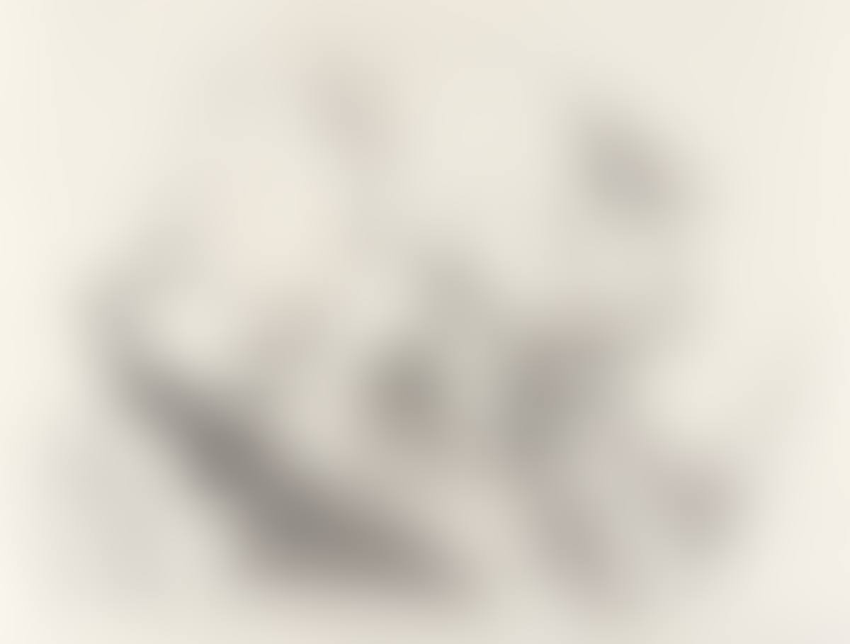 Stilleben (preview)
