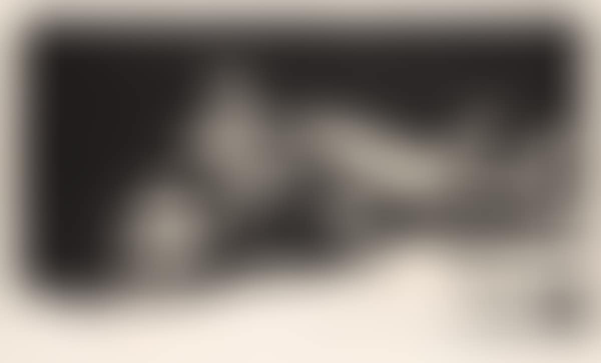 Die Witwe II (preview)