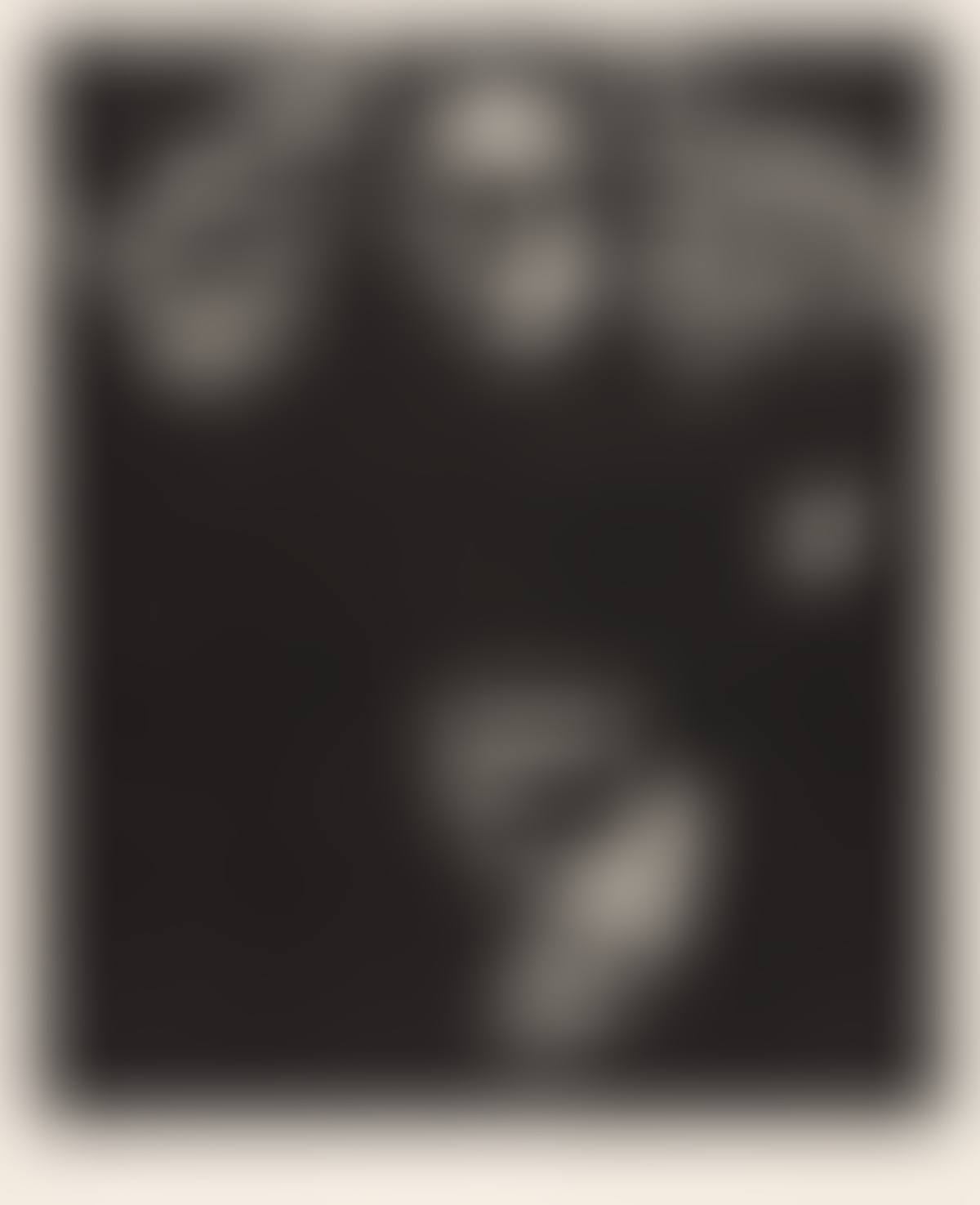 Das Volk (preview)