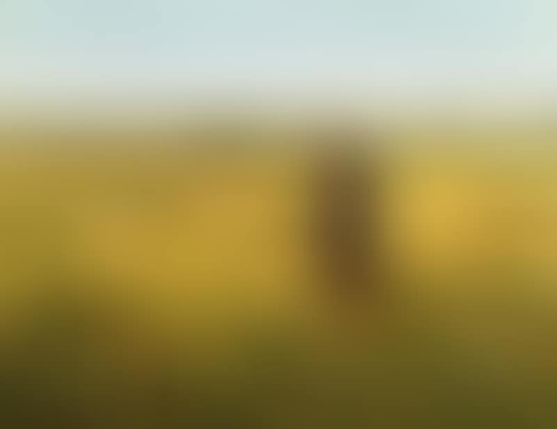 A pipe-smoking farmer in a rapeseed field (preview)