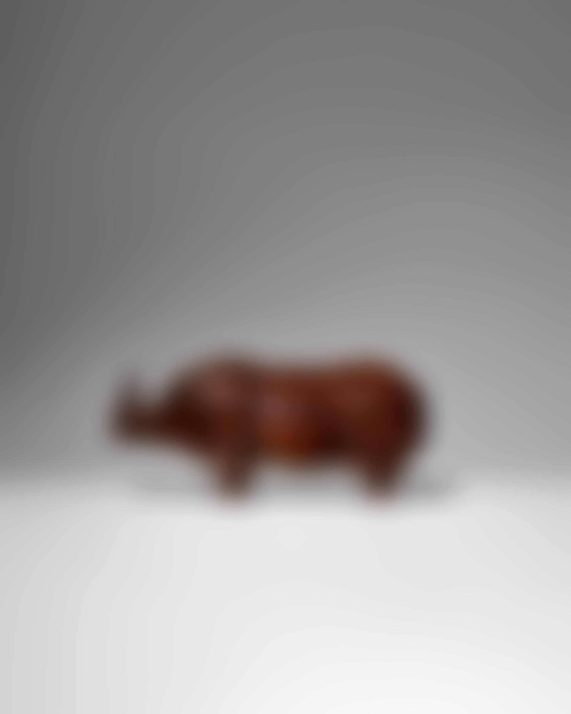 "Rhinocéros III" (preview)