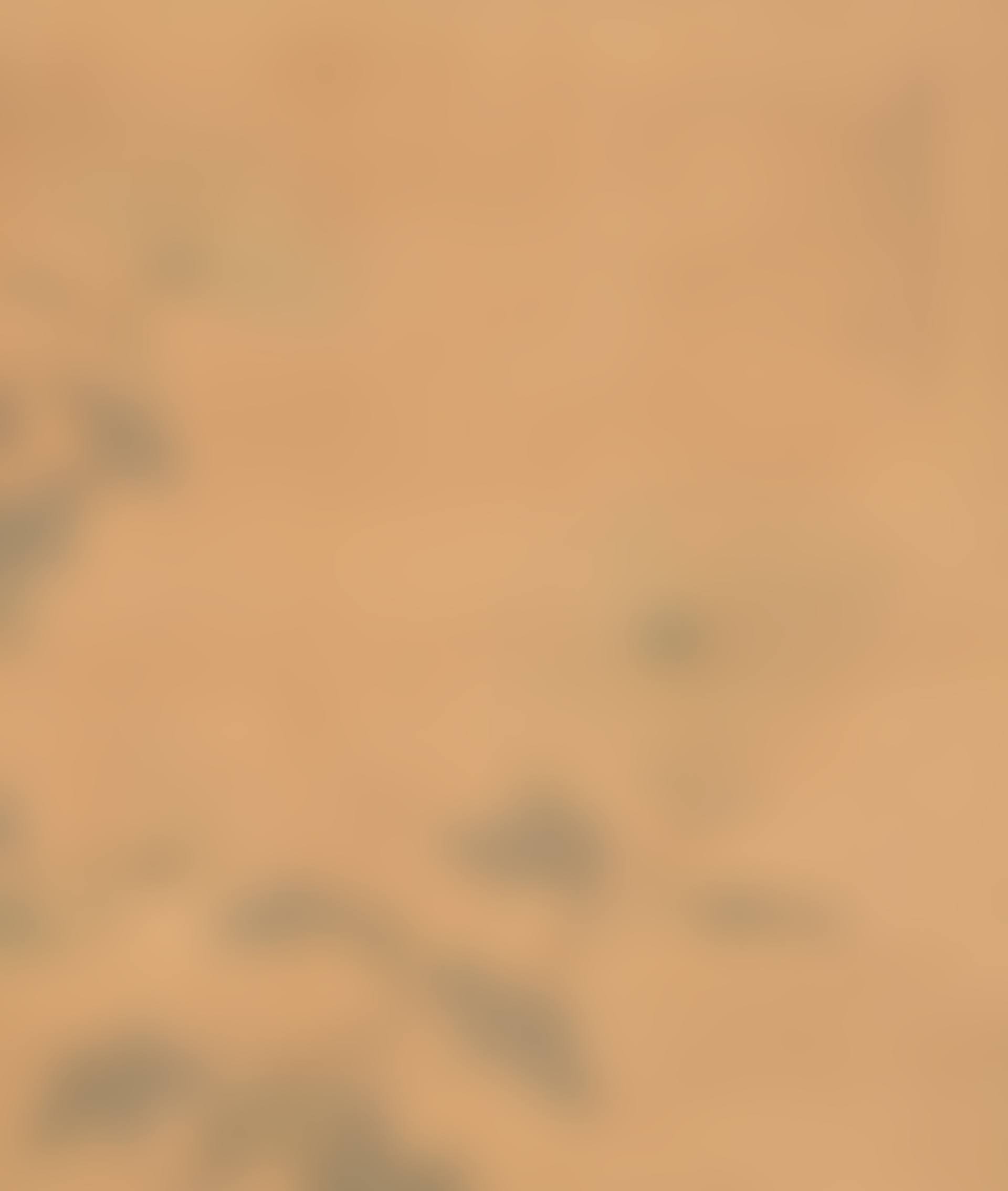 Flowers in the Style of Yun Bing (preview)