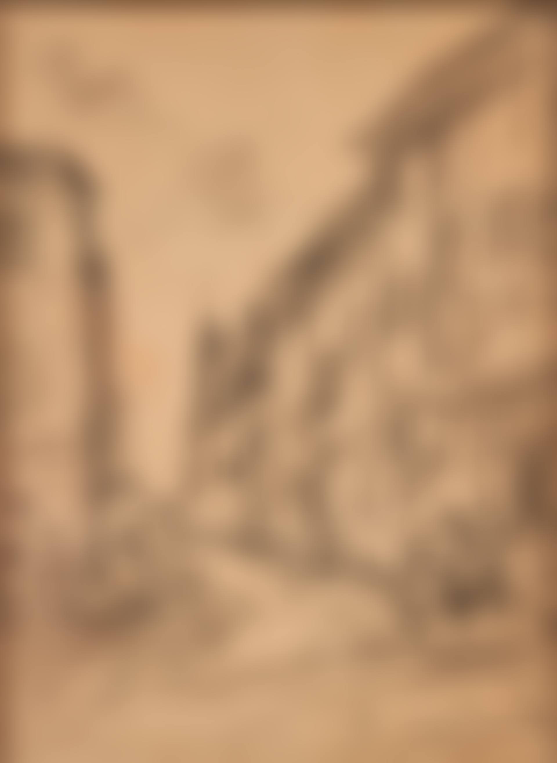Rue de l"Hôtel de Ville, La Côte Saint-André (preview)