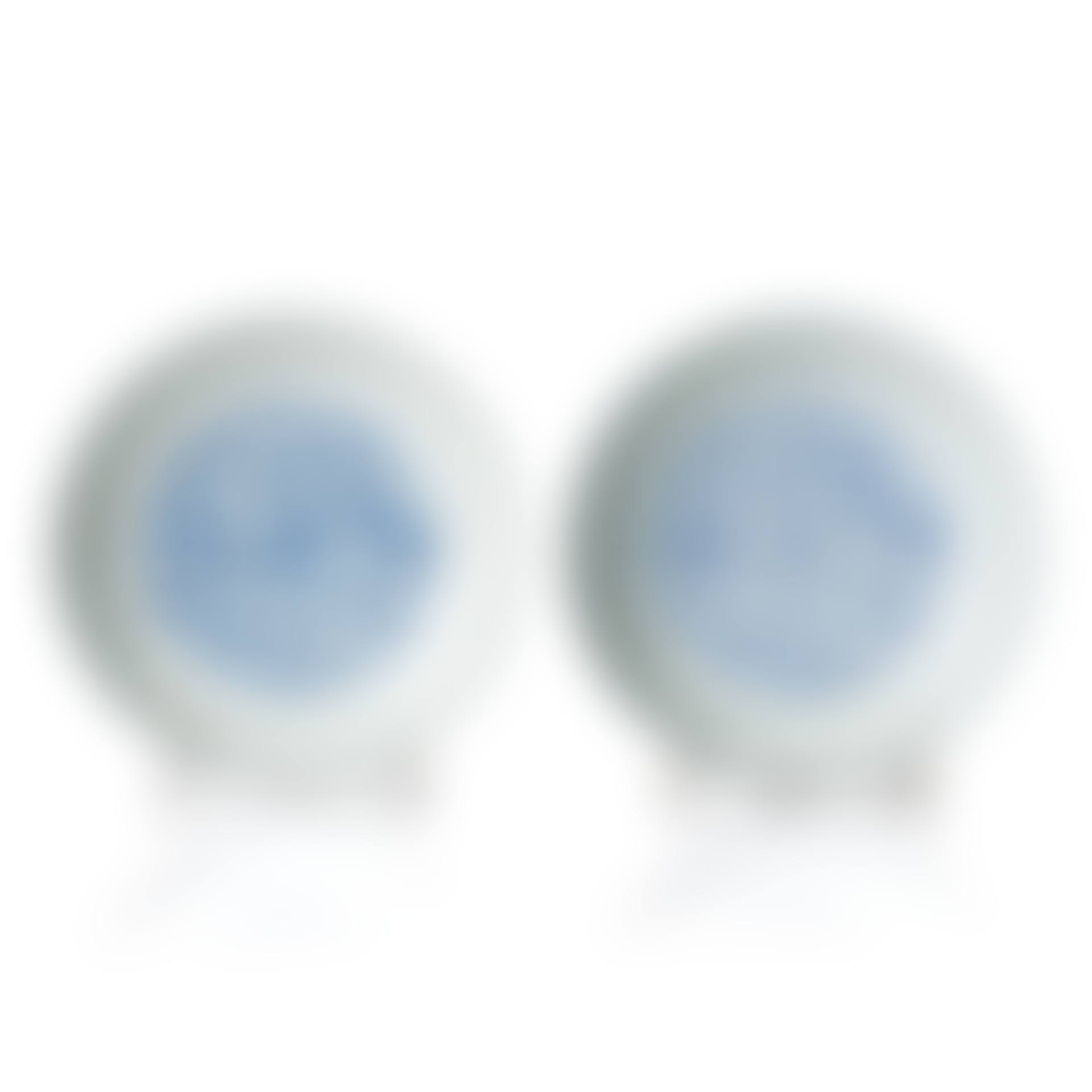 A pair of blue and white "Phoenix" dishes (preview)