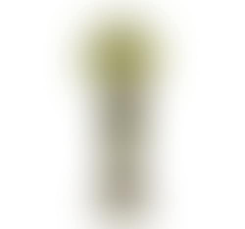 a cameo glass table lamp (preview)
