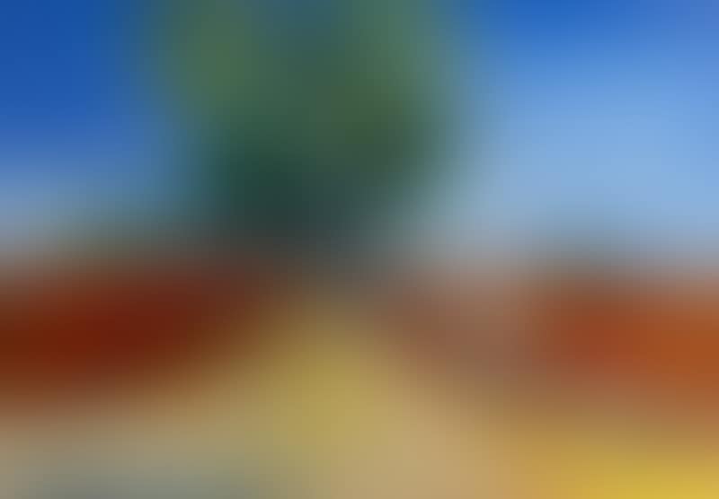 Landscape with Field and Tree-lined Road (preview)
