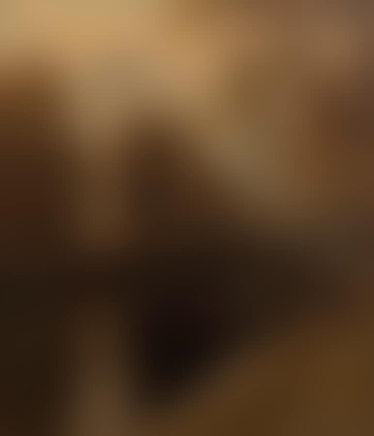 Canal Scene (preview)