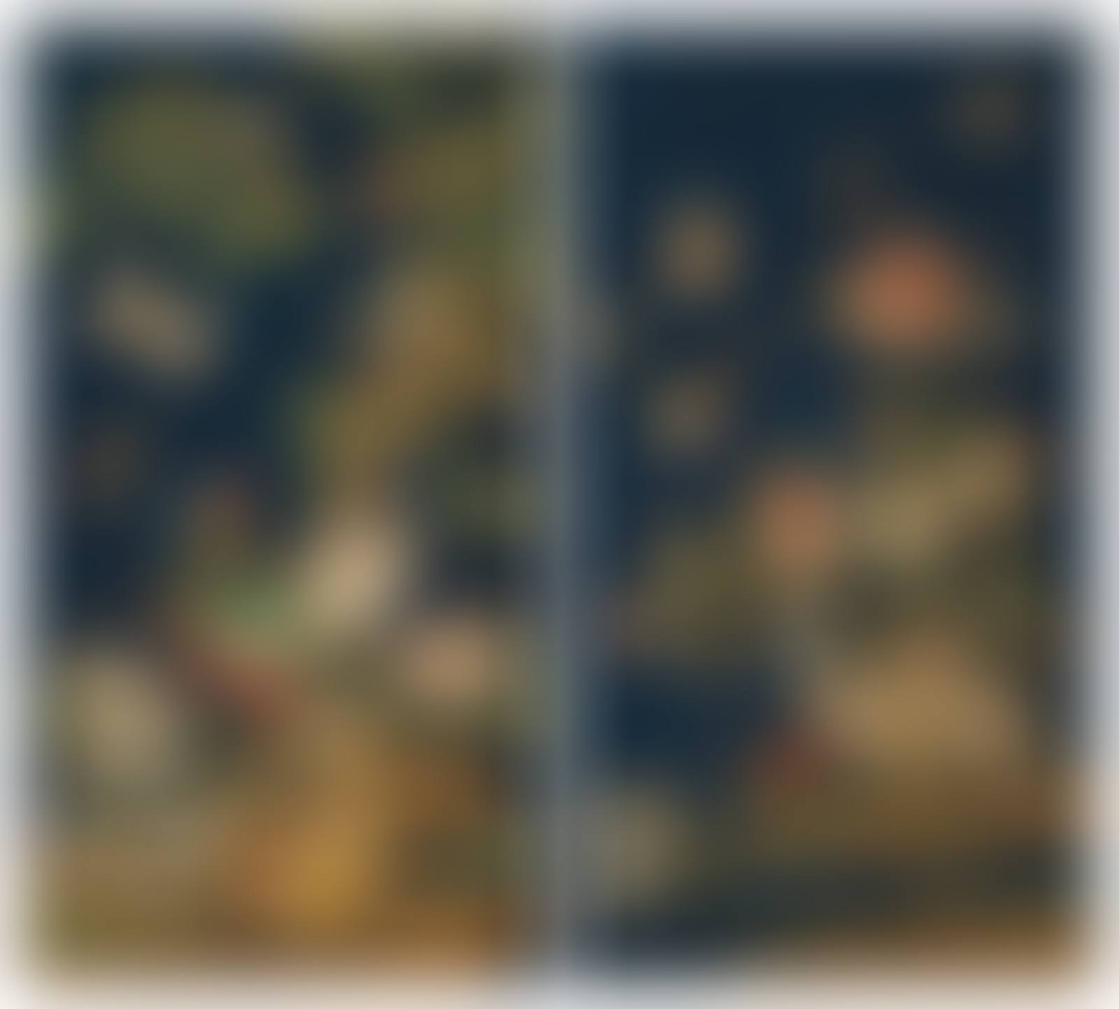 Flowers & Birds (preview)