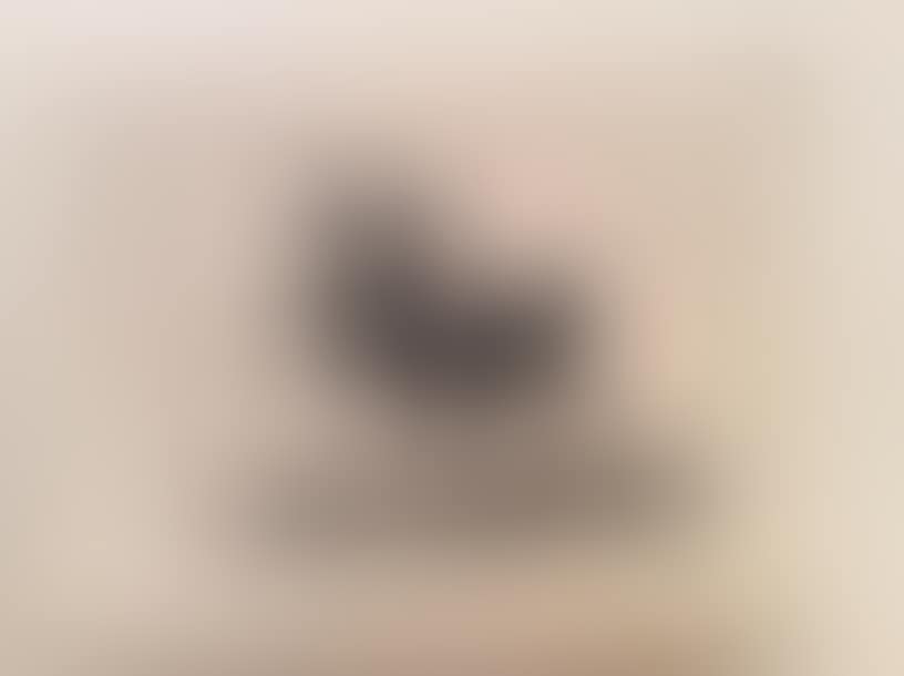 Blind man kidnapped on the horns of a bull (preview)