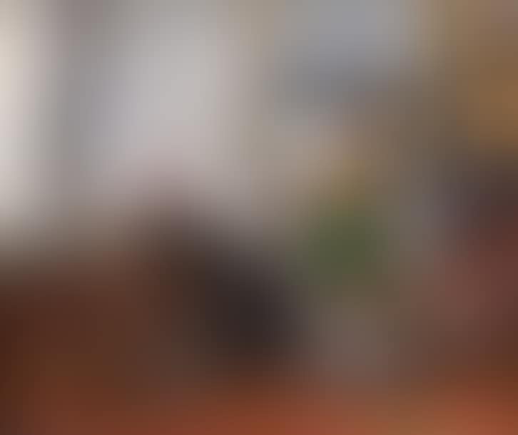 Mother and child in an interior (preview)