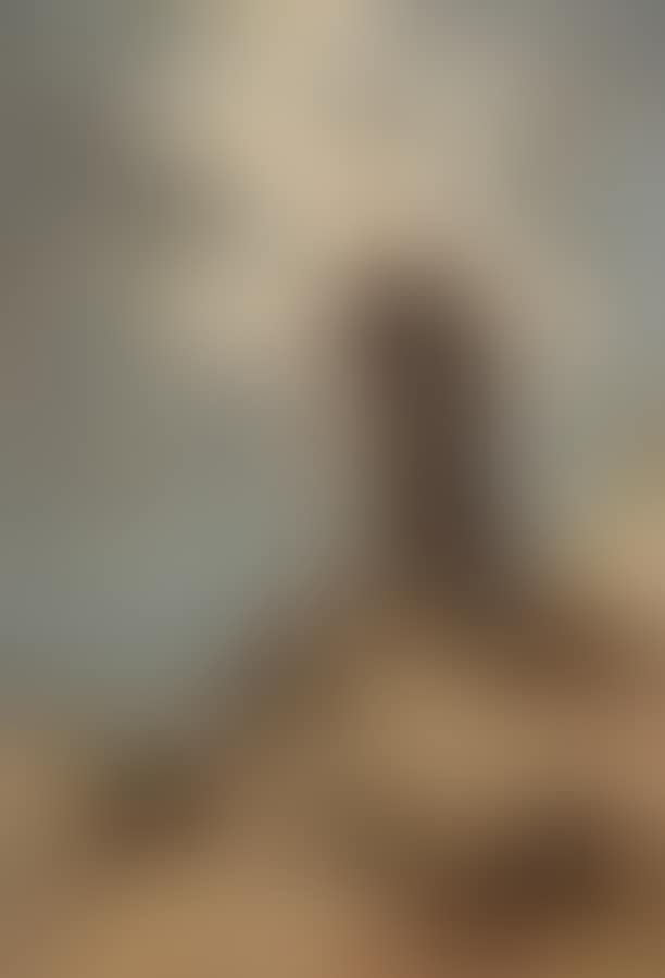 The mill in the dunes. (preview)
