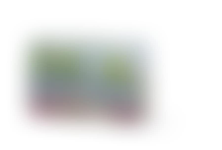 The Birches (preview)