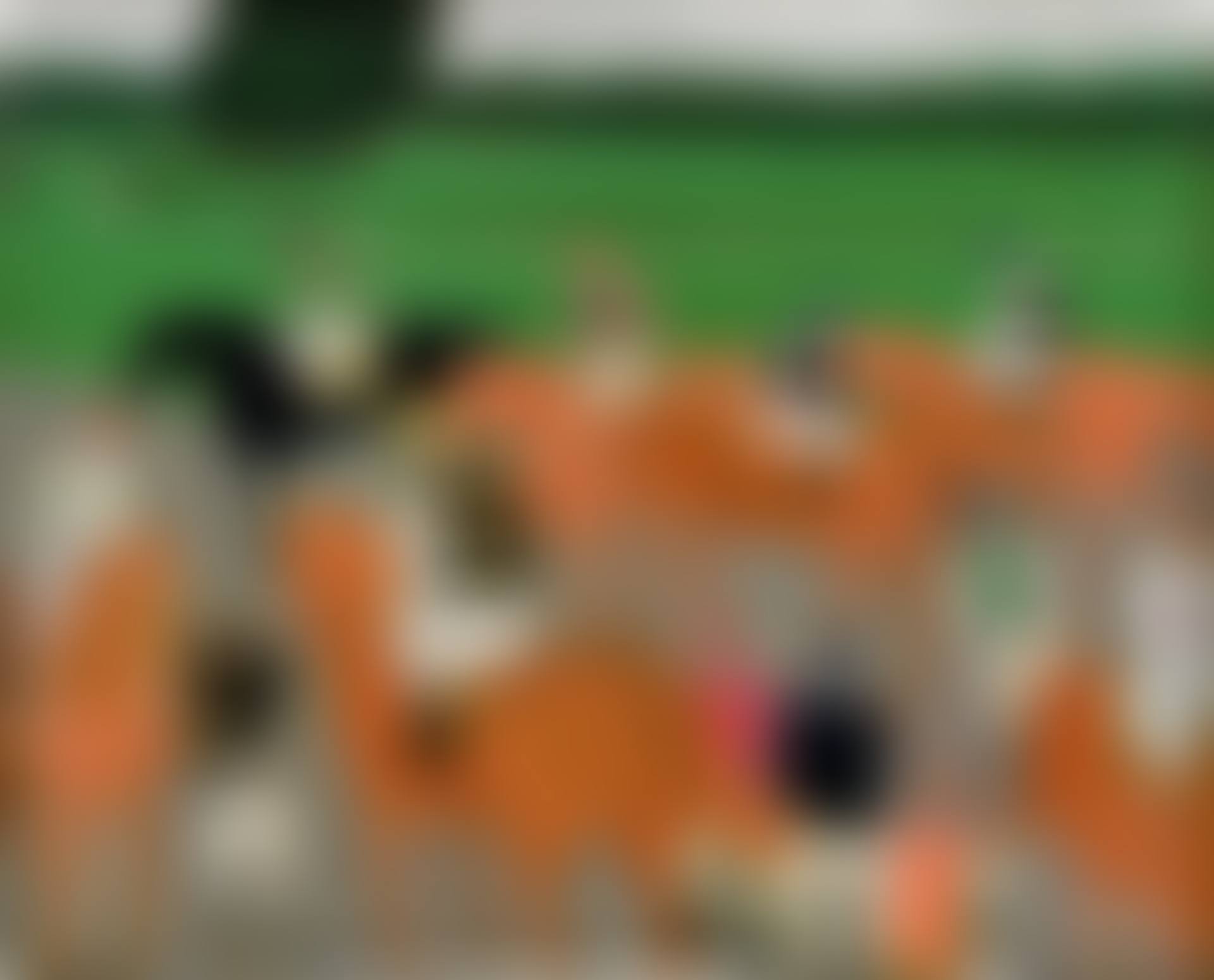 Avant la course (preview)