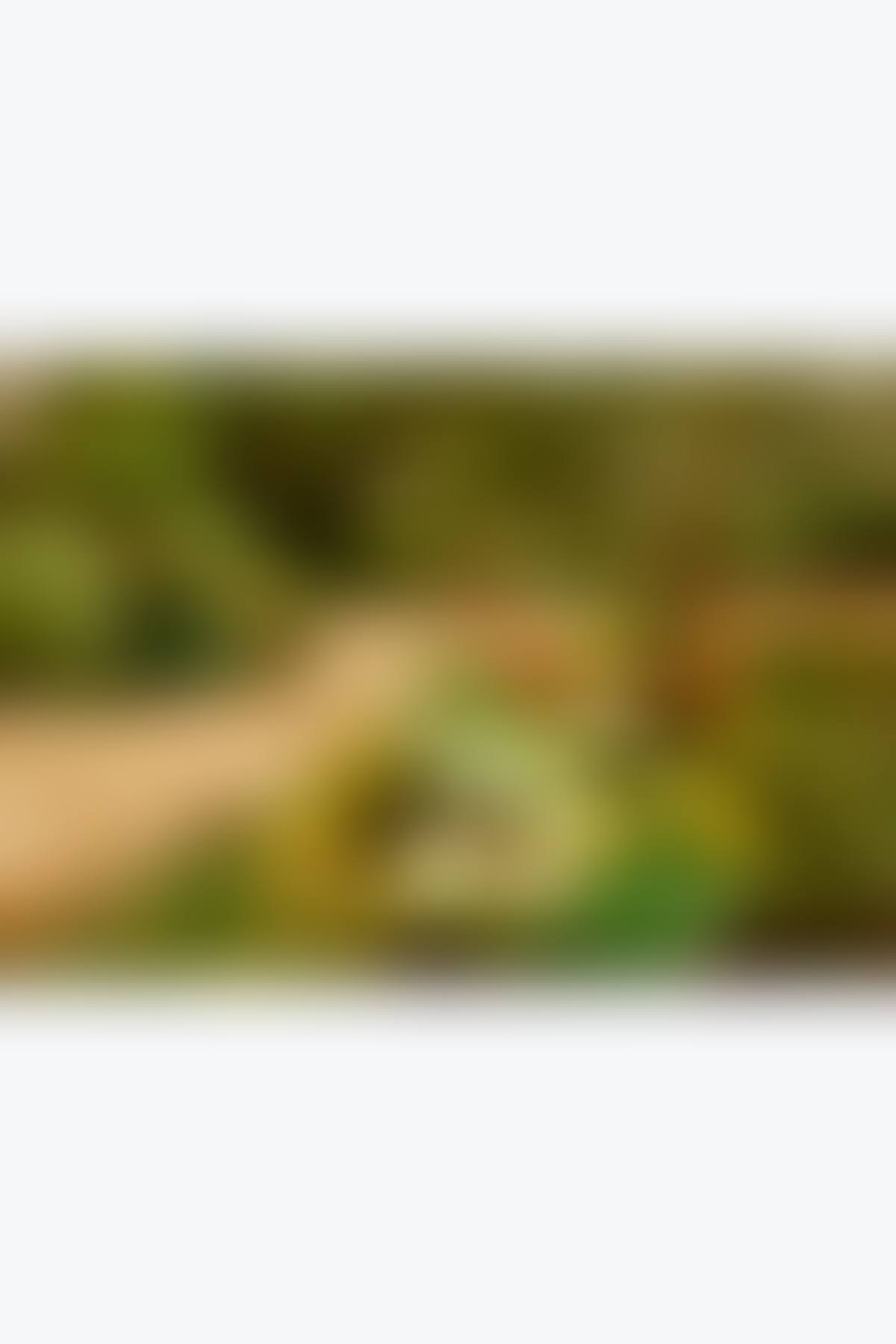 Le jardin (preview)