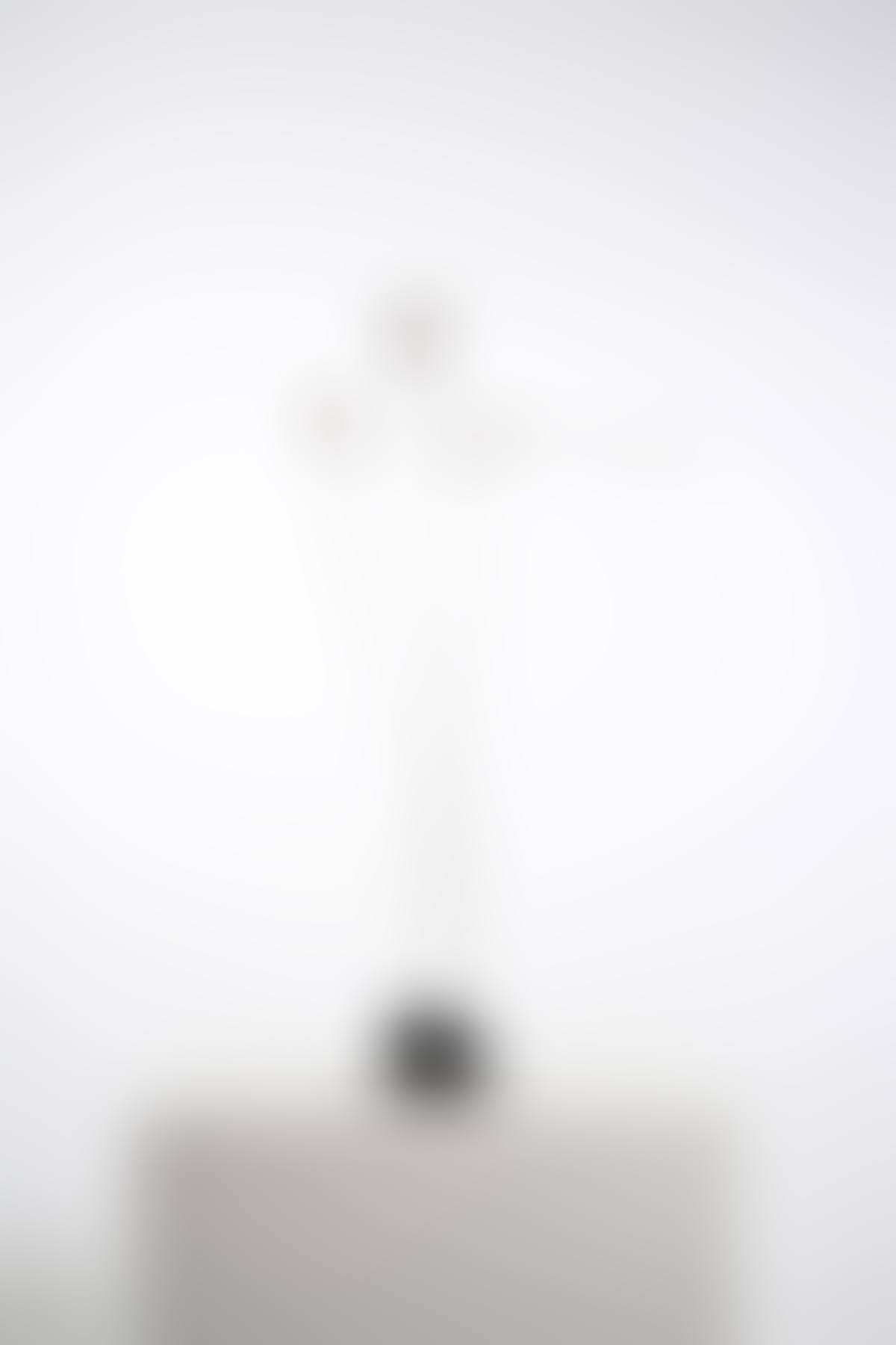 Signal (preview)