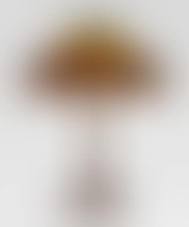 "Dragonfly" Table Lamp (preview)