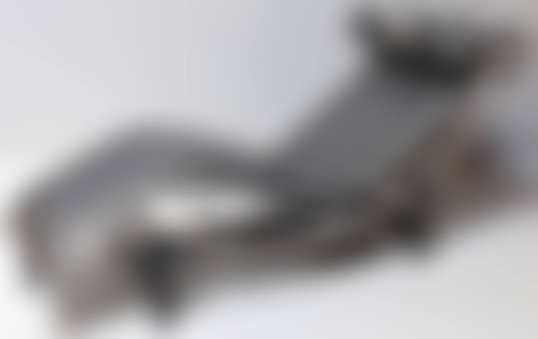 Chaise longue, model “LC 4” (preview)