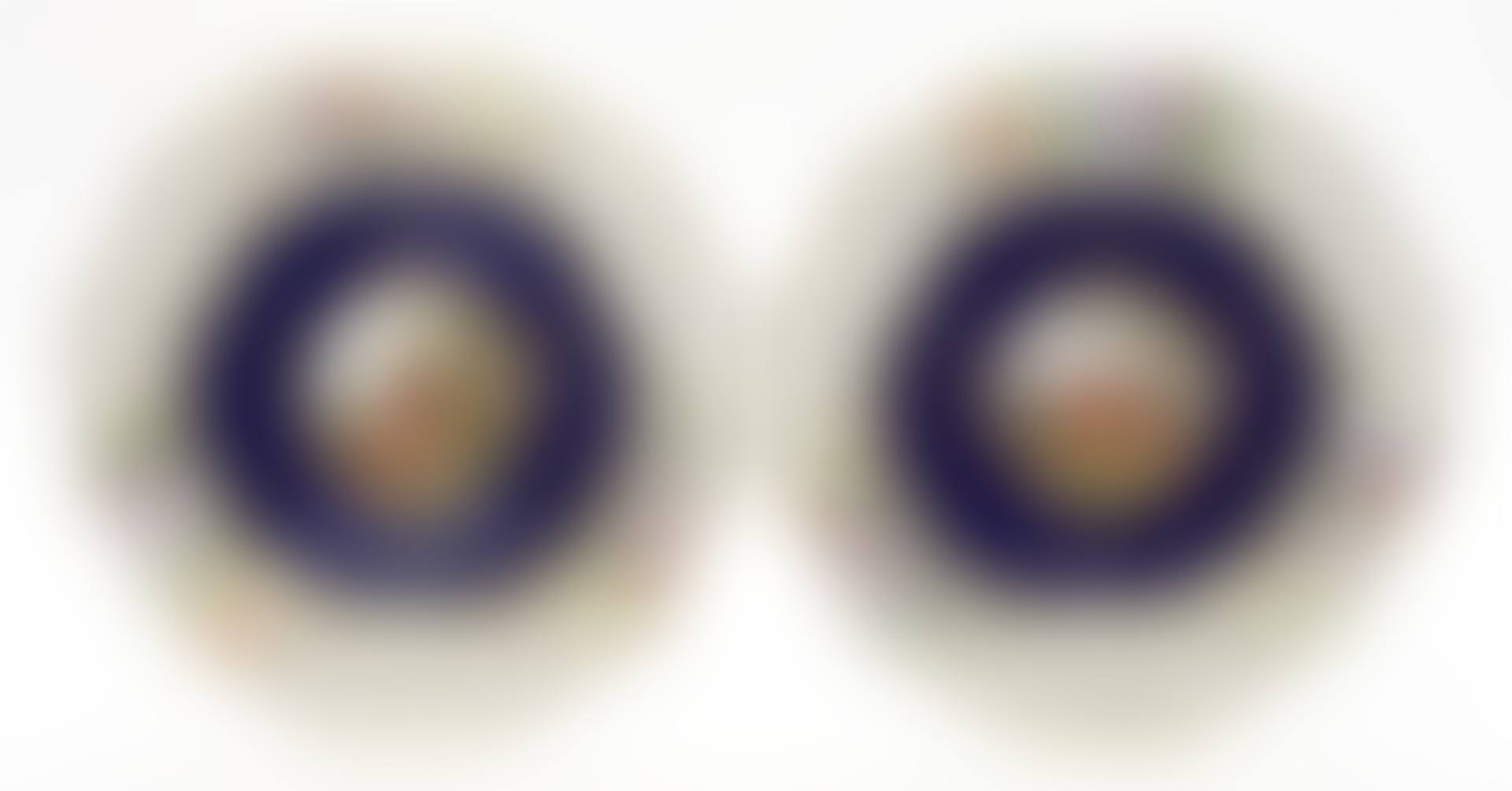 Pair of decorative plates (preview)