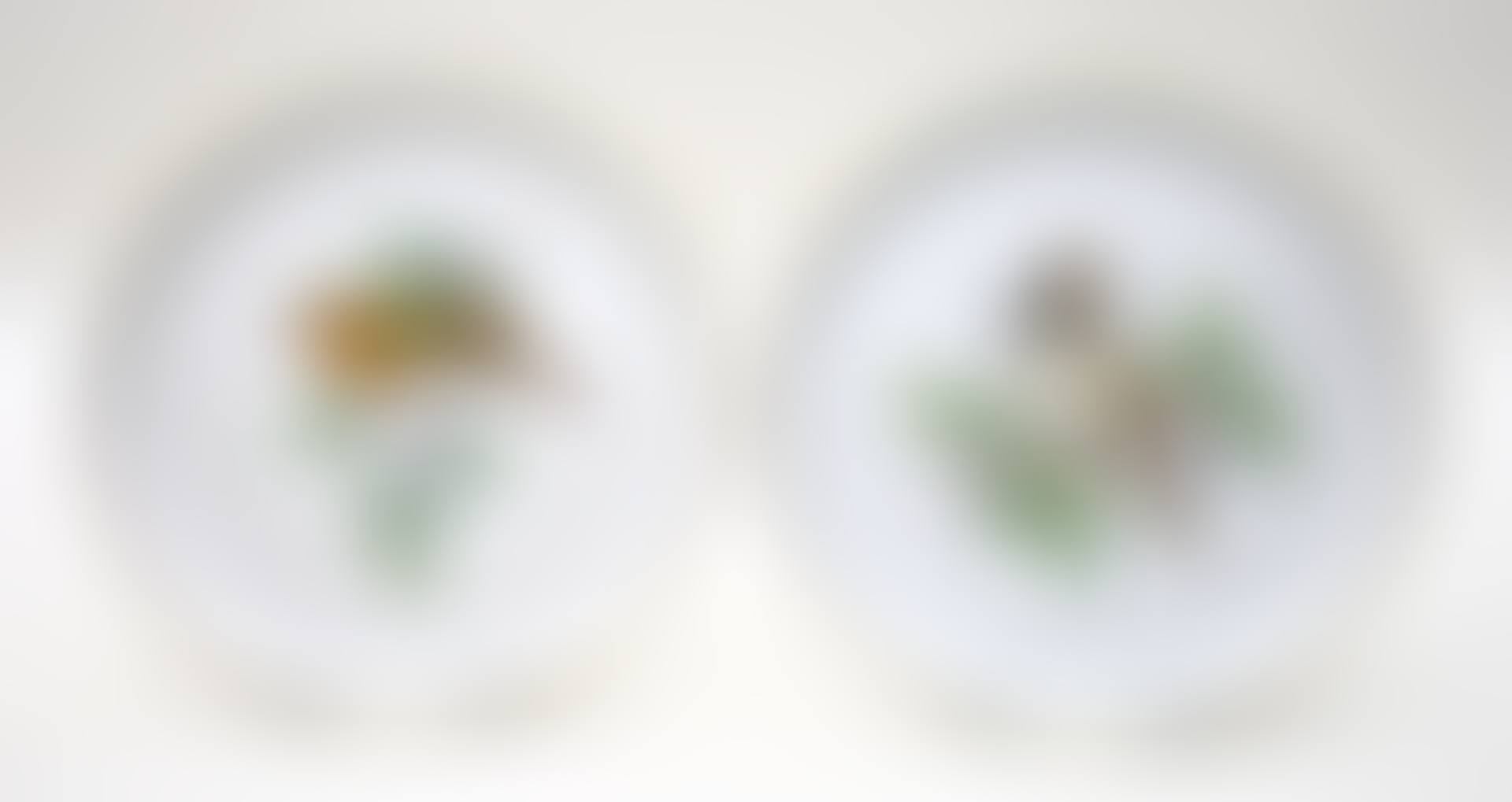 Pair of wall plates; "I-form" (preview)
