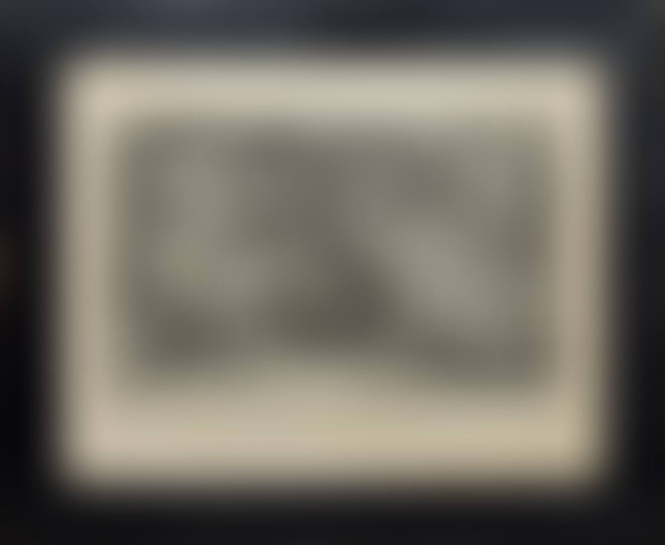 "The wolf in the punching iron" (preview)