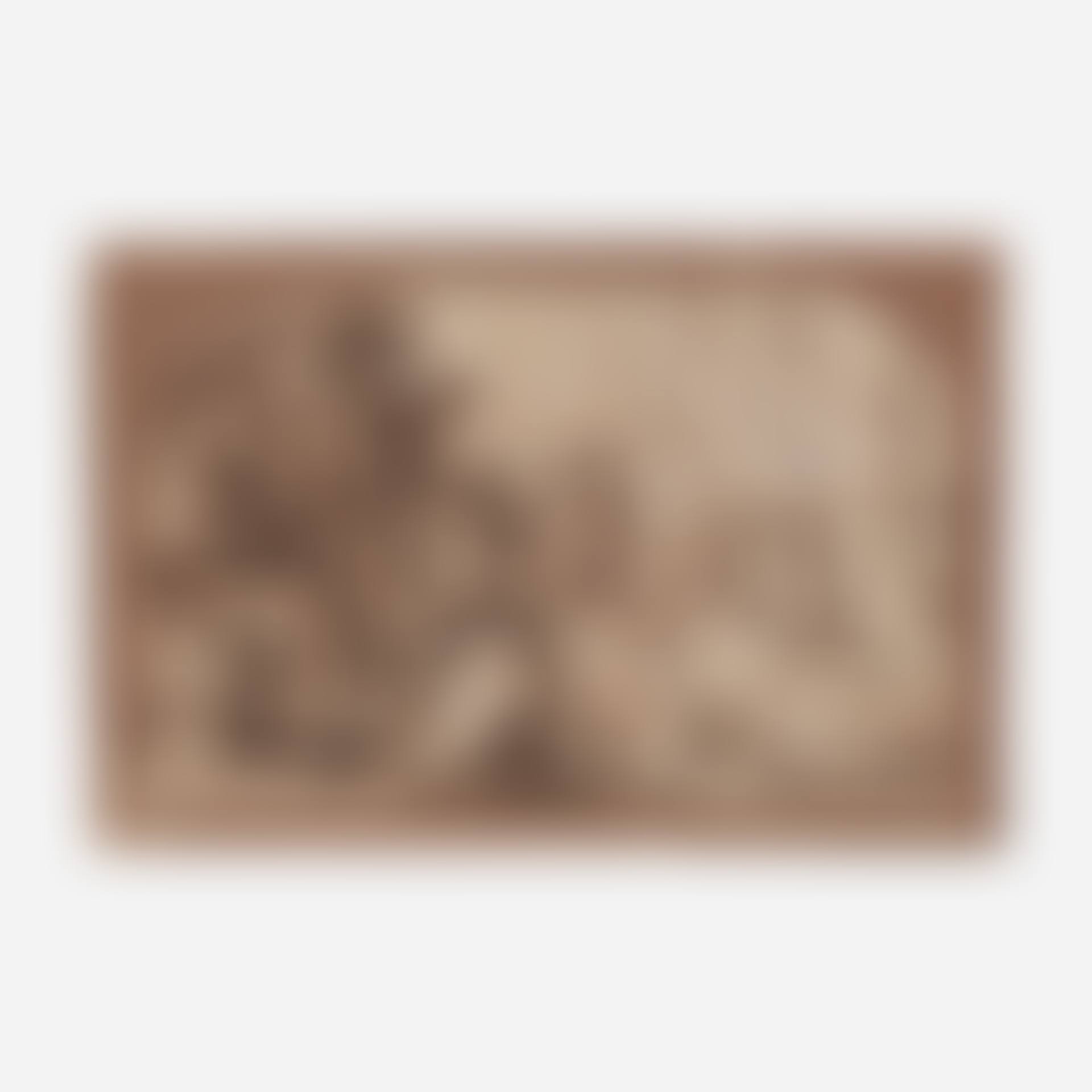 A Bishop in audience before Pope Julius (preview)