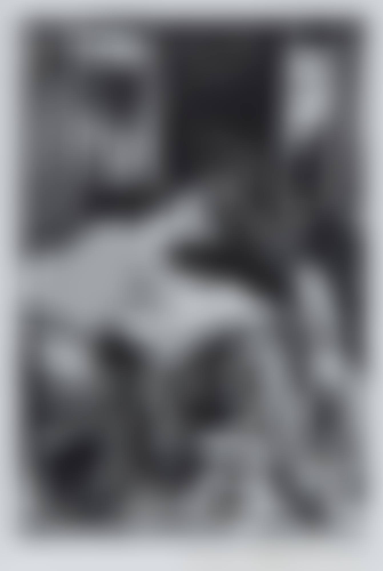 " Boulevard Diderot, Paris" (preview)