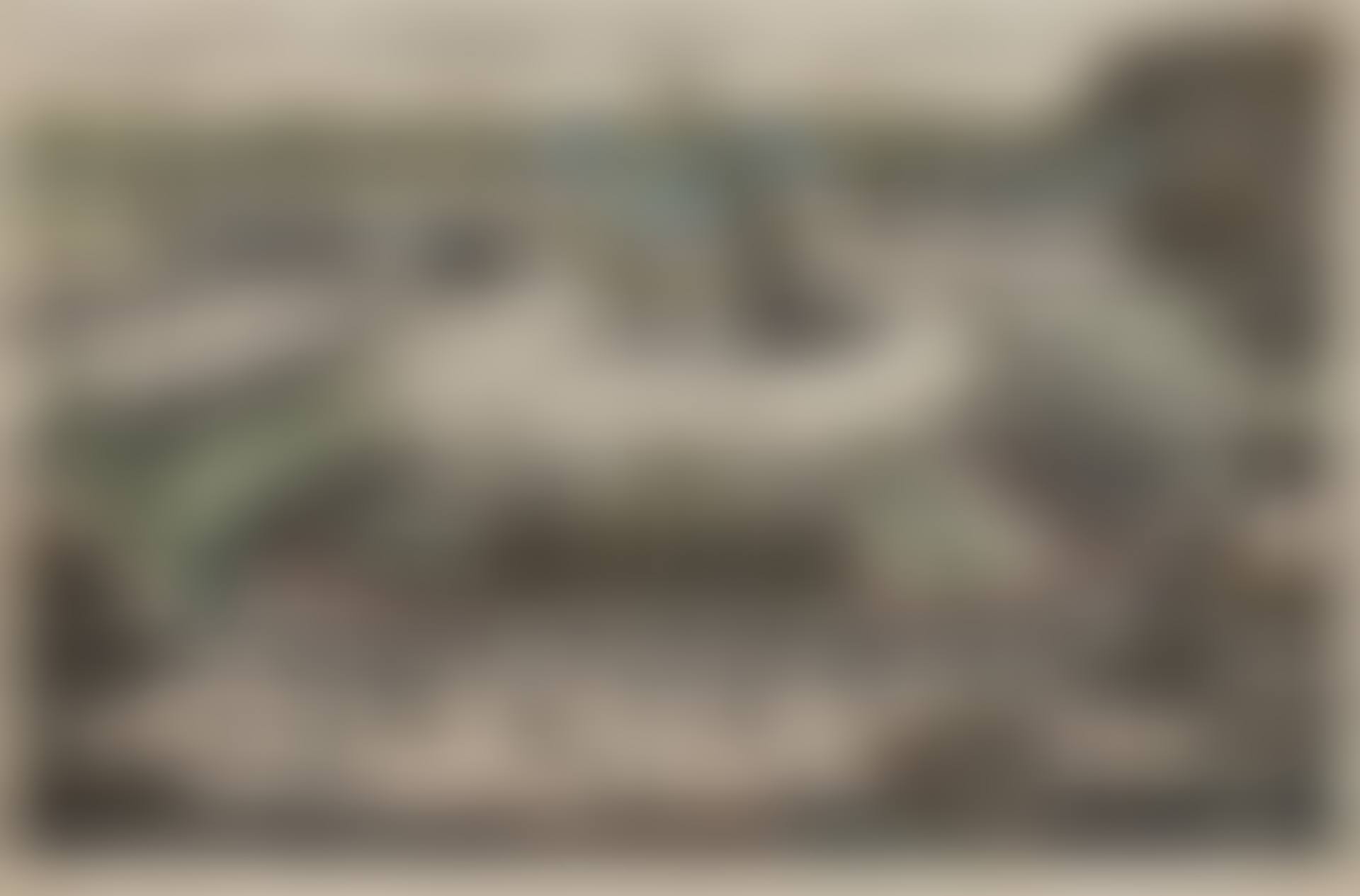View and perspective of the Salon de la Menagerie de Versailles which we see here from behind in the middle of seven courtyards filled with rare birds and other animals from various distant countries (preview)