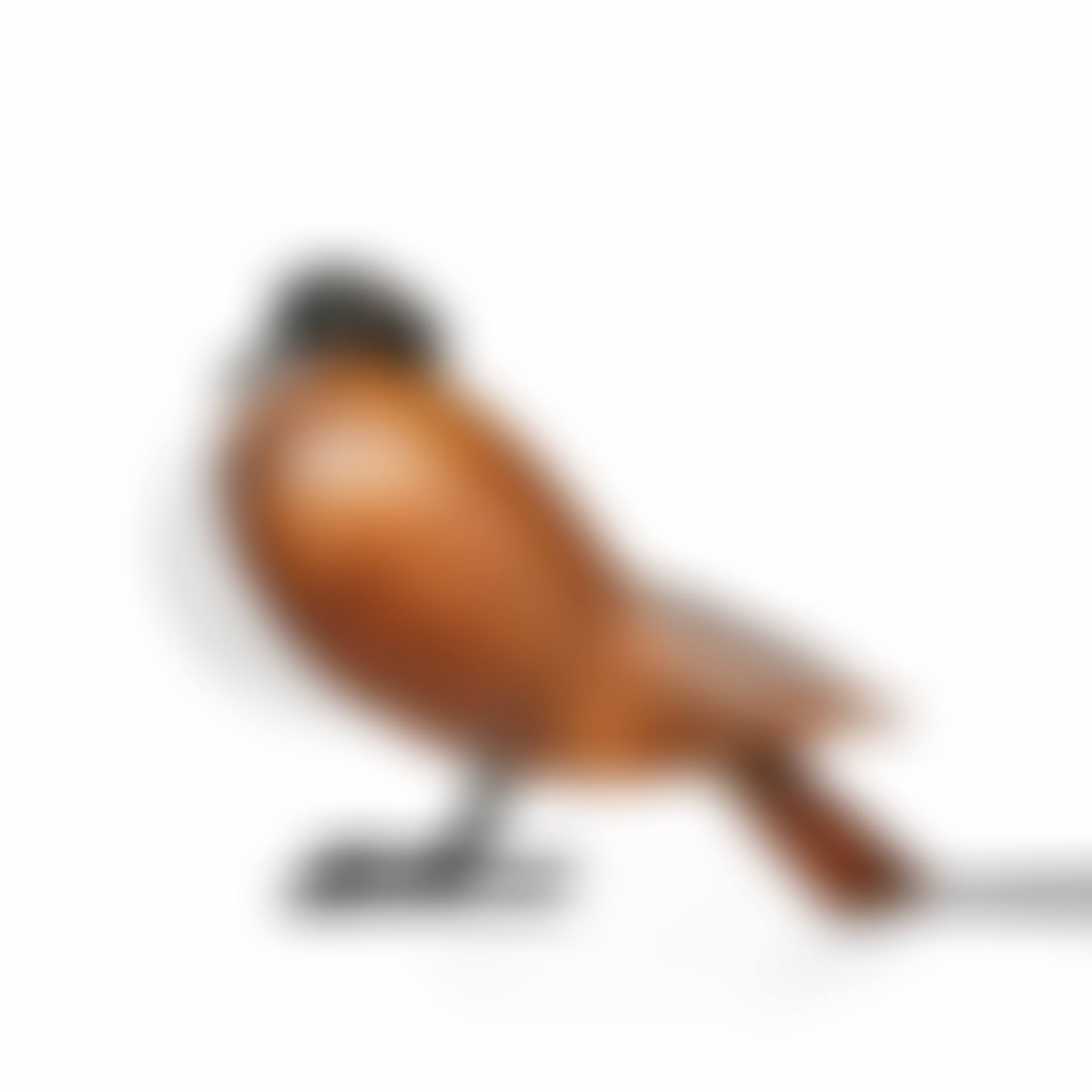 Pigeon lamp (preview)