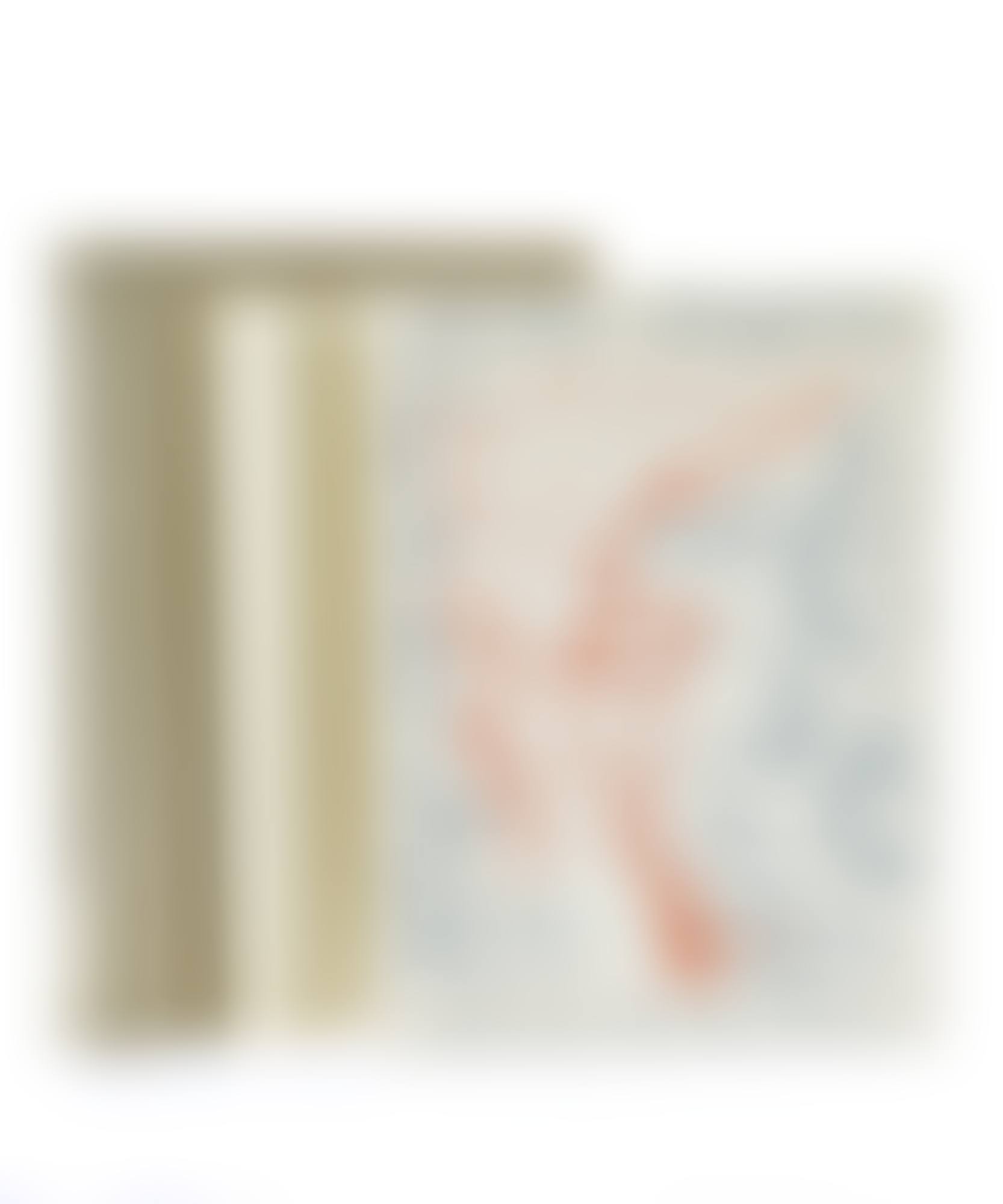 Twenty-two drawings on the theme of desire (preview)