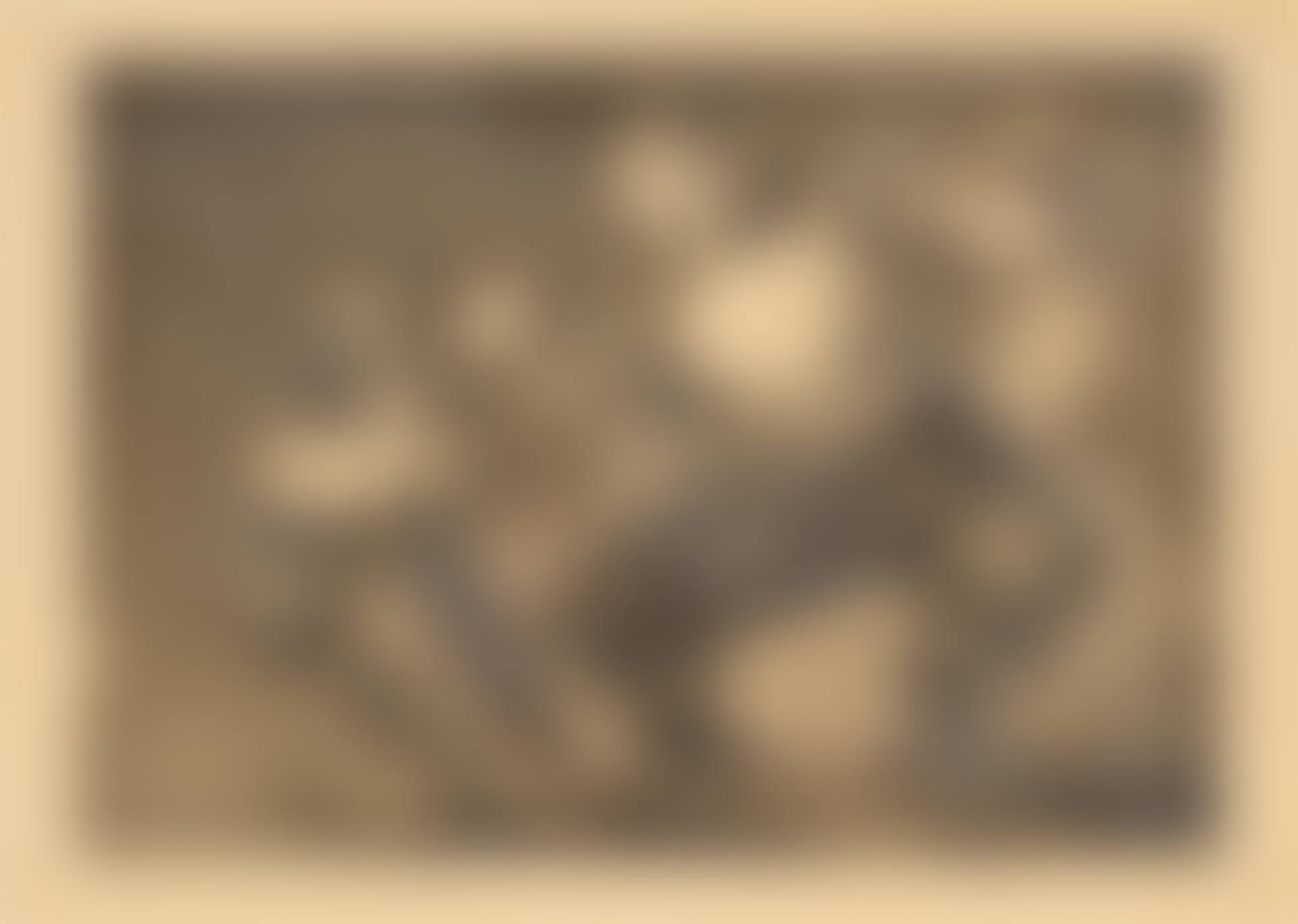 Disparate de bobo (preview)