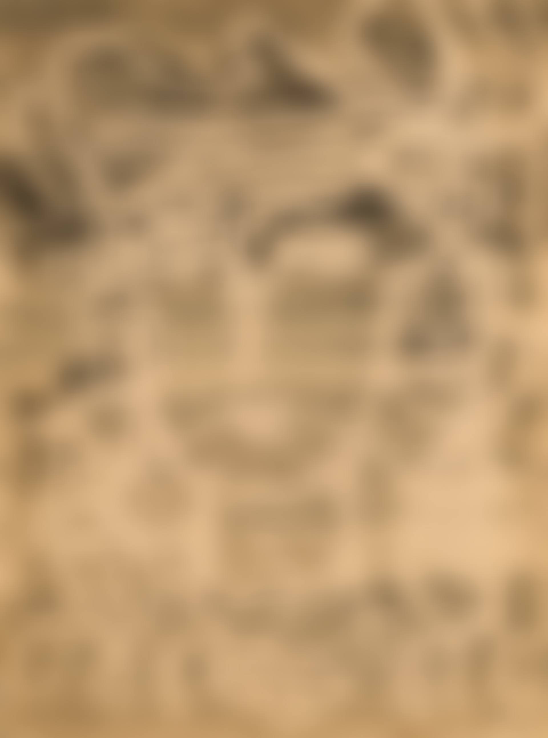 Face (preview)