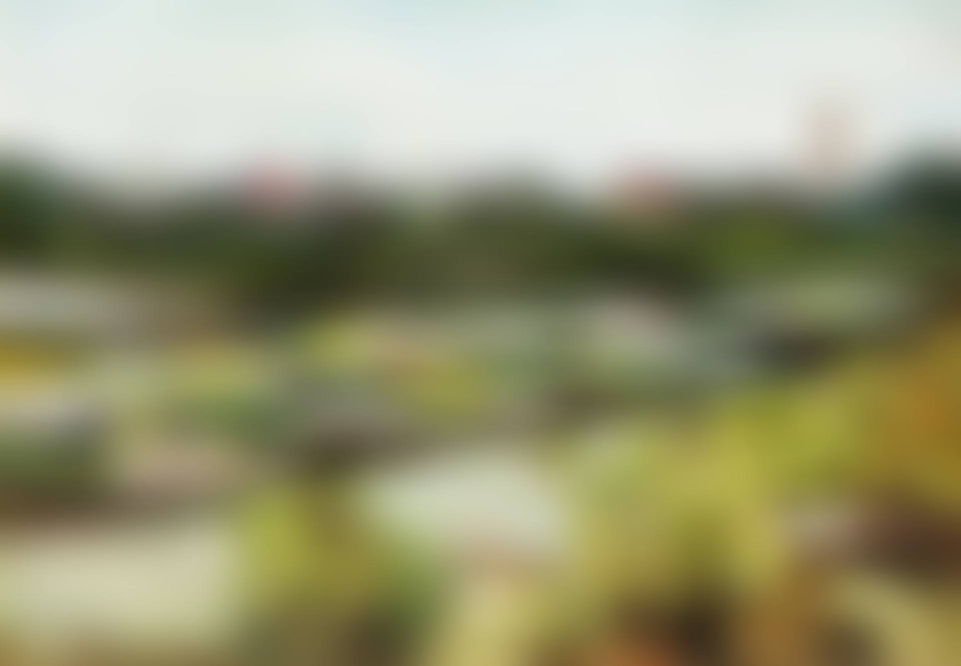 The marshes at Croisic (preview)