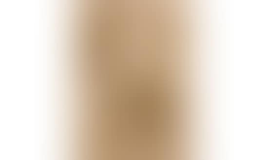 Portrait of Auguste Rodin (preview)