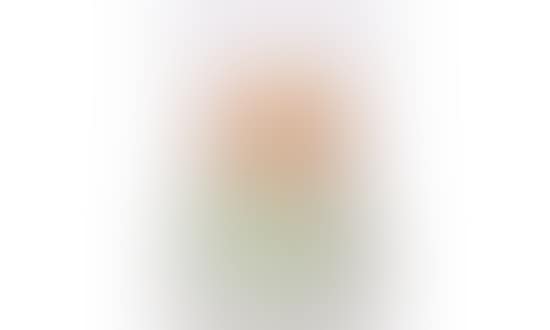 Vase with ovoid body with polylobed neck, hot cut (preview)