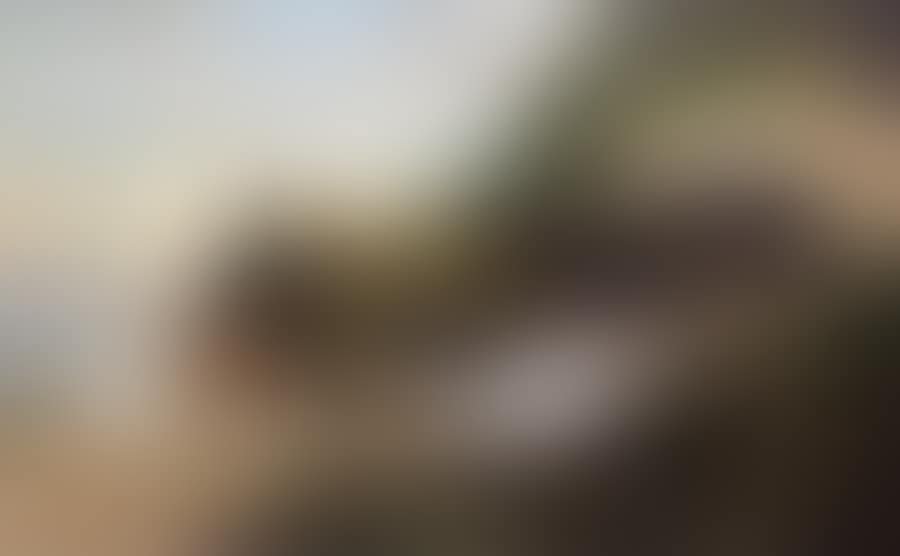 Steam locomotive (preview)