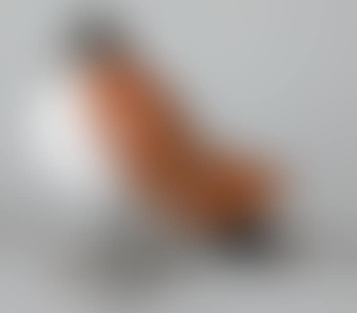 “LAMPE PIGEON” (preview)