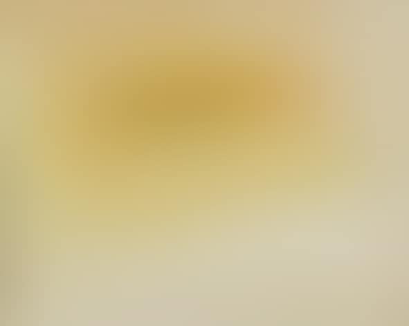“UNTITLED” (preview)