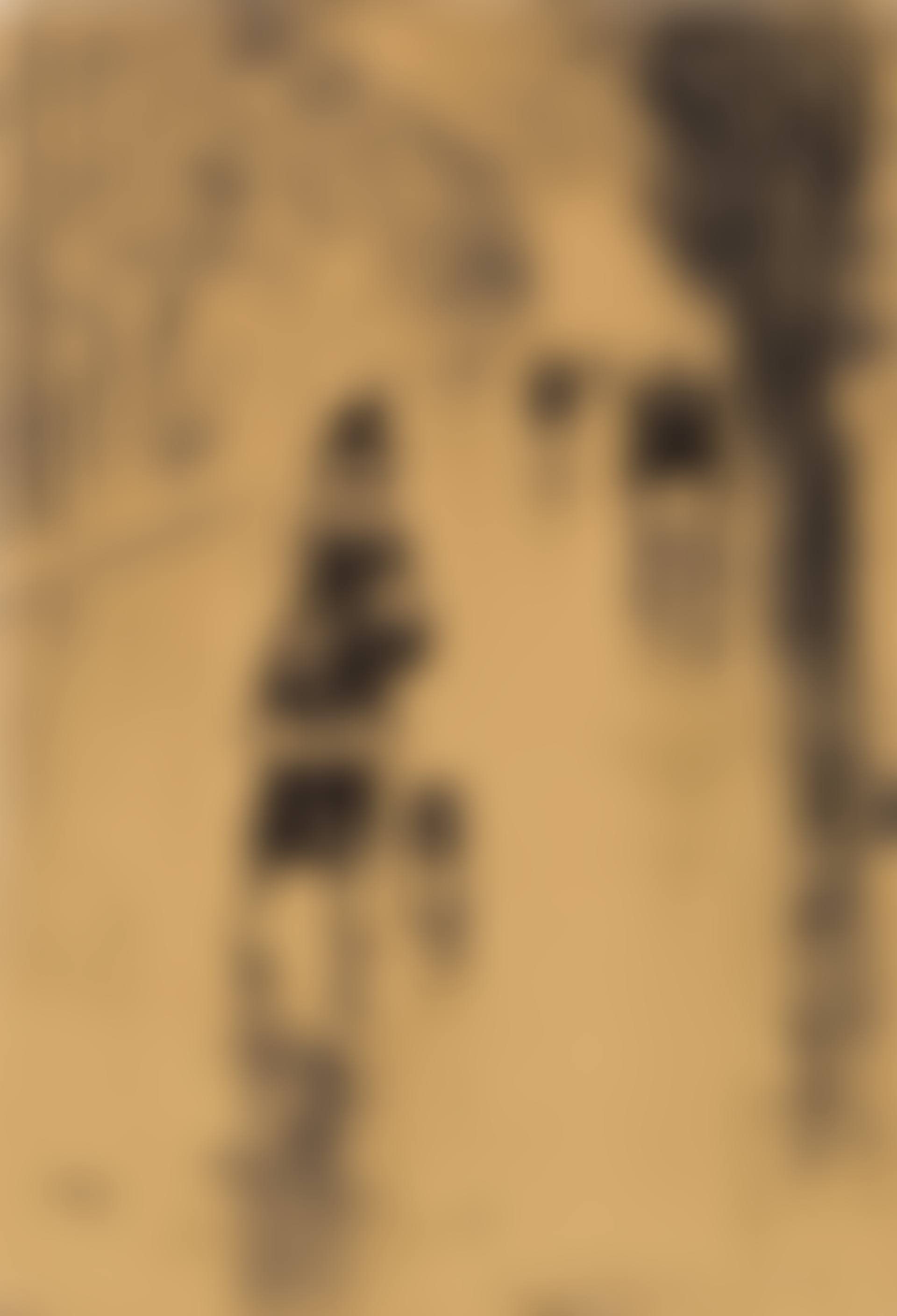 Dame mit Hund im Tiergarten, Berlin (preview)