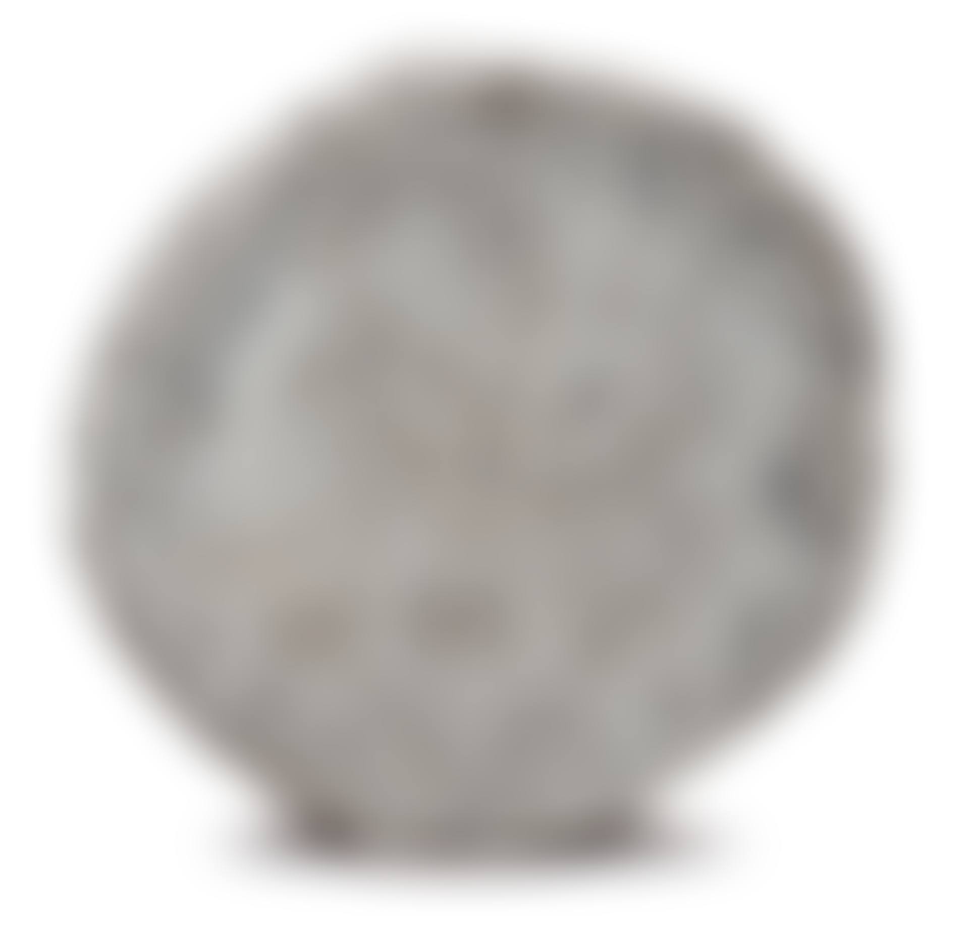Fossilized leaf (preview)